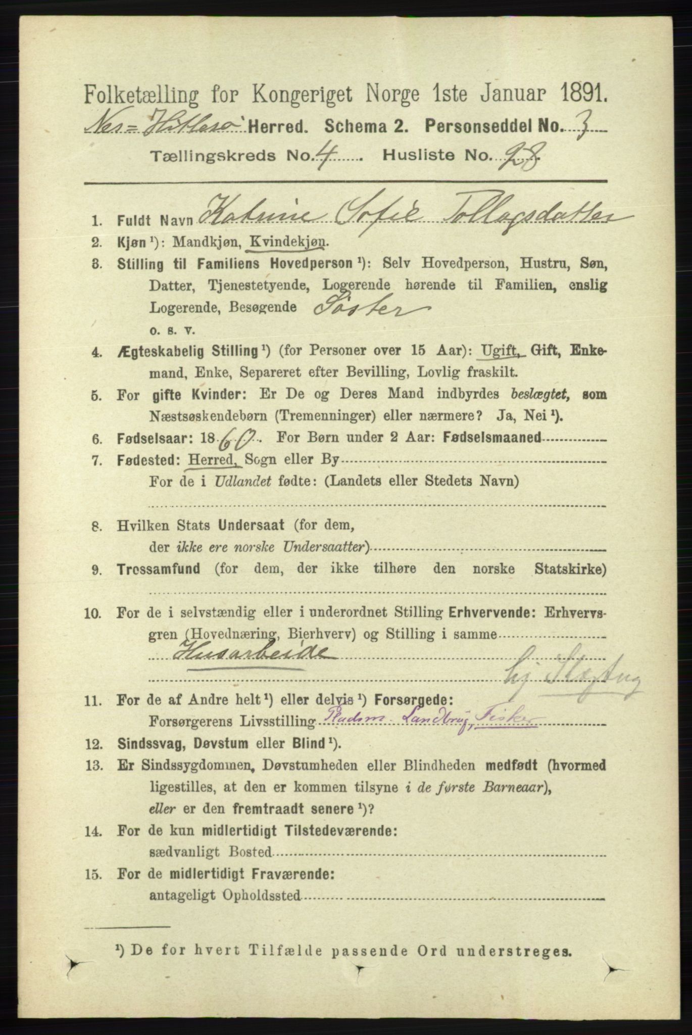 RA, 1891 census for 1043 Hidra og Nes, 1891, p. 1624