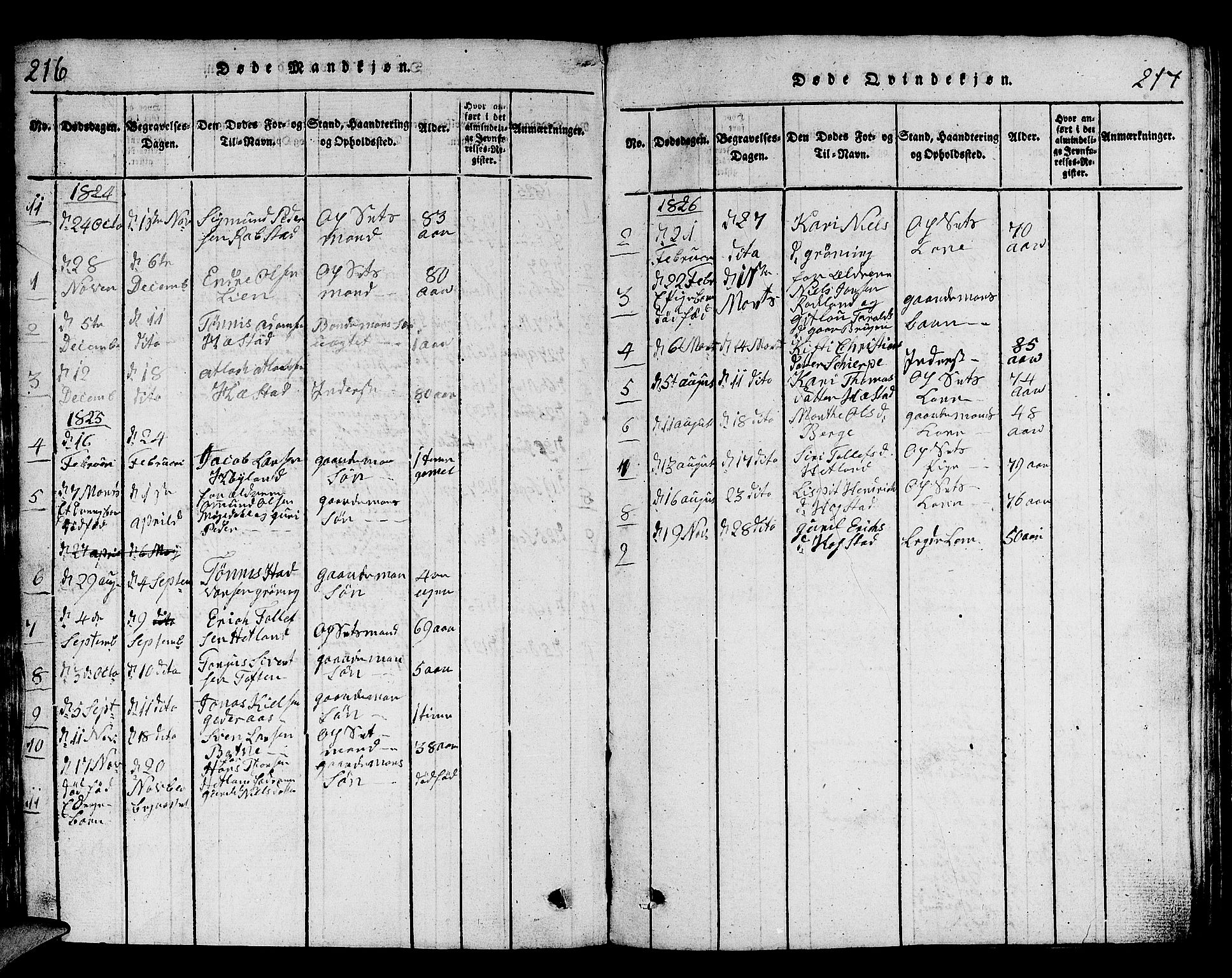 Helleland sokneprestkontor, SAST/A-101810: Parish register (copy) no. B 1, 1815-1841, p. 216-217