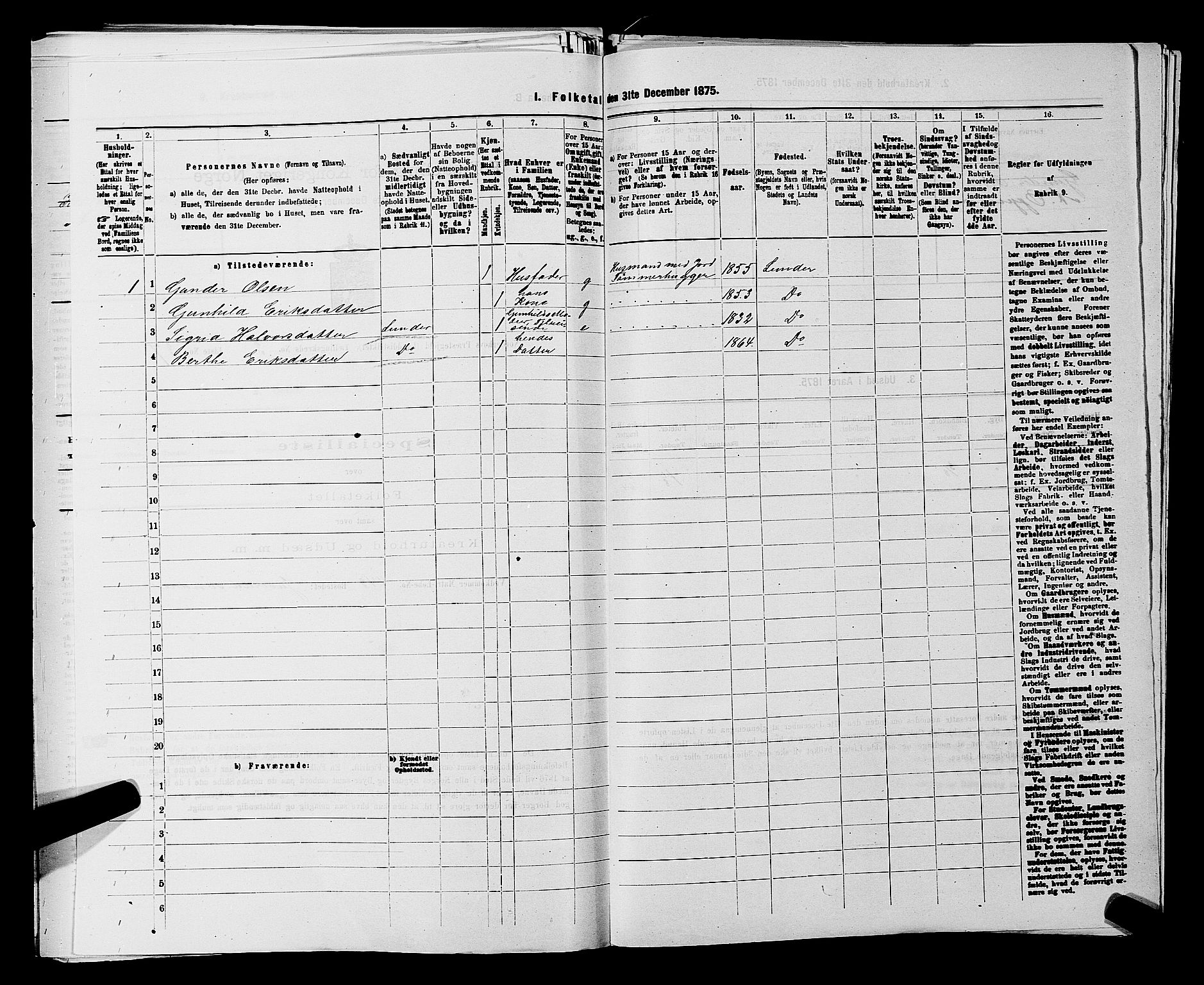 SAKO, 1875 census for 0613L Norderhov/Norderhov, Haug og Lunder, 1875, p. 2620