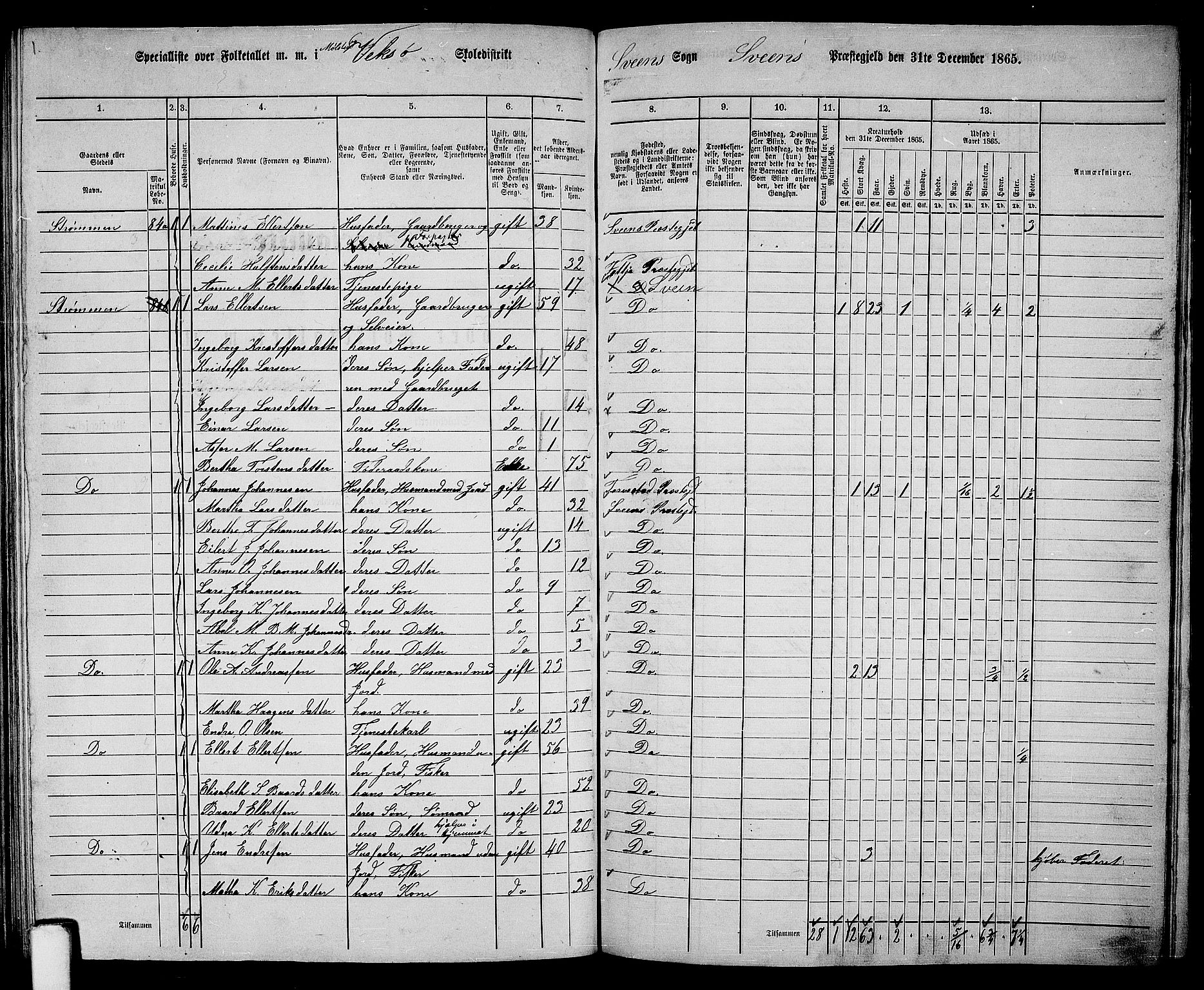 RA, 1865 census for Sveio, 1865, p. 117