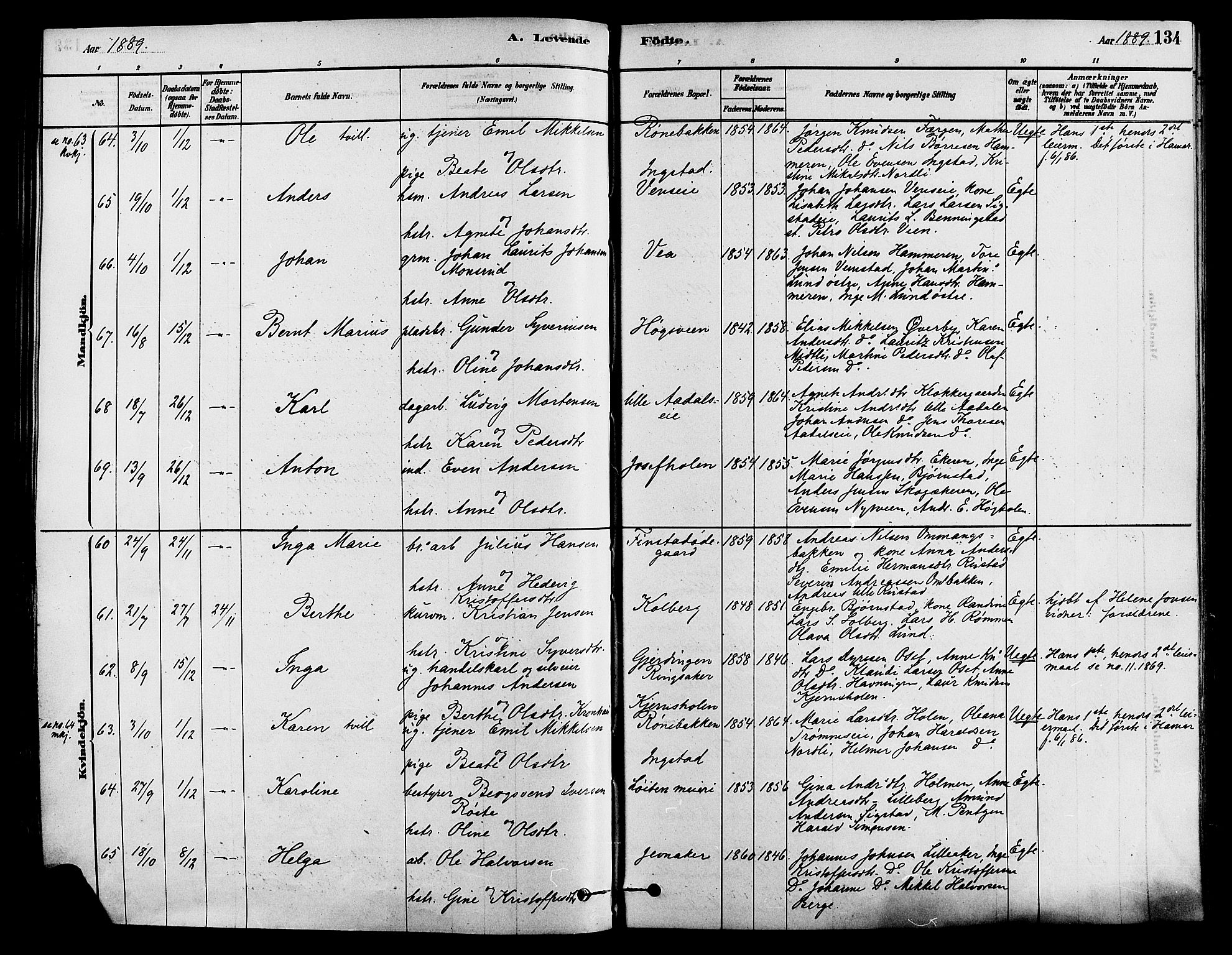 Løten prestekontor, SAH/PREST-022/K/Ka/L0009: Parish register (official) no. 9, 1878-1891, p. 134