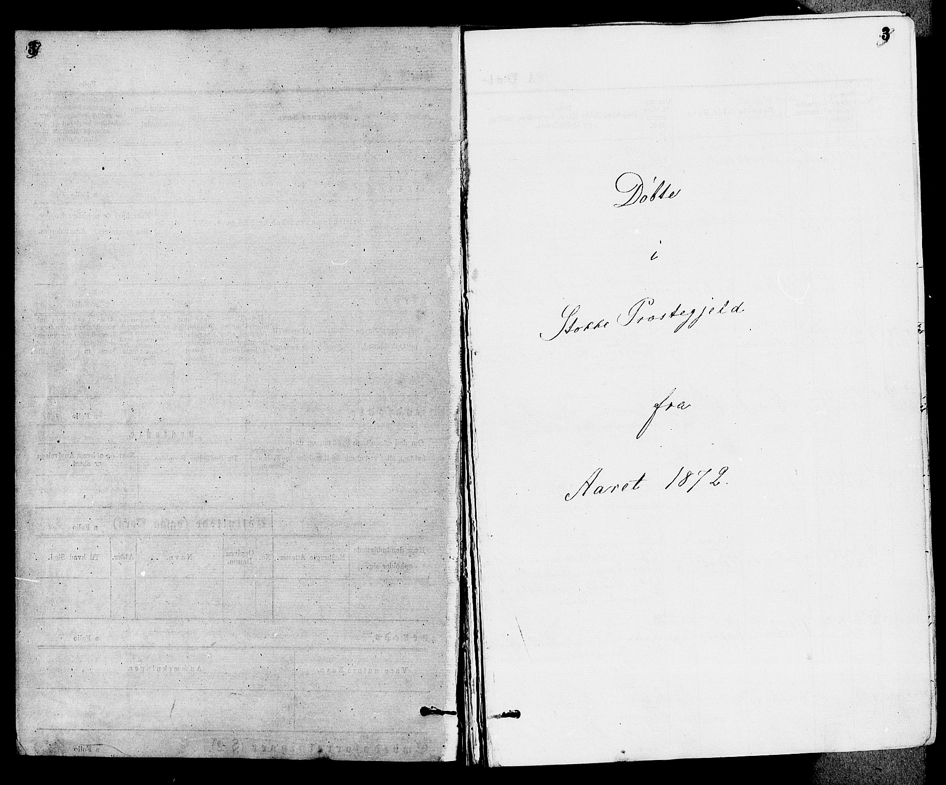 Stokke kirkebøker, AV/SAKO-A-320/F/Fa/L0009: Parish register (official) no. I 9, 1872-1883, p. 3