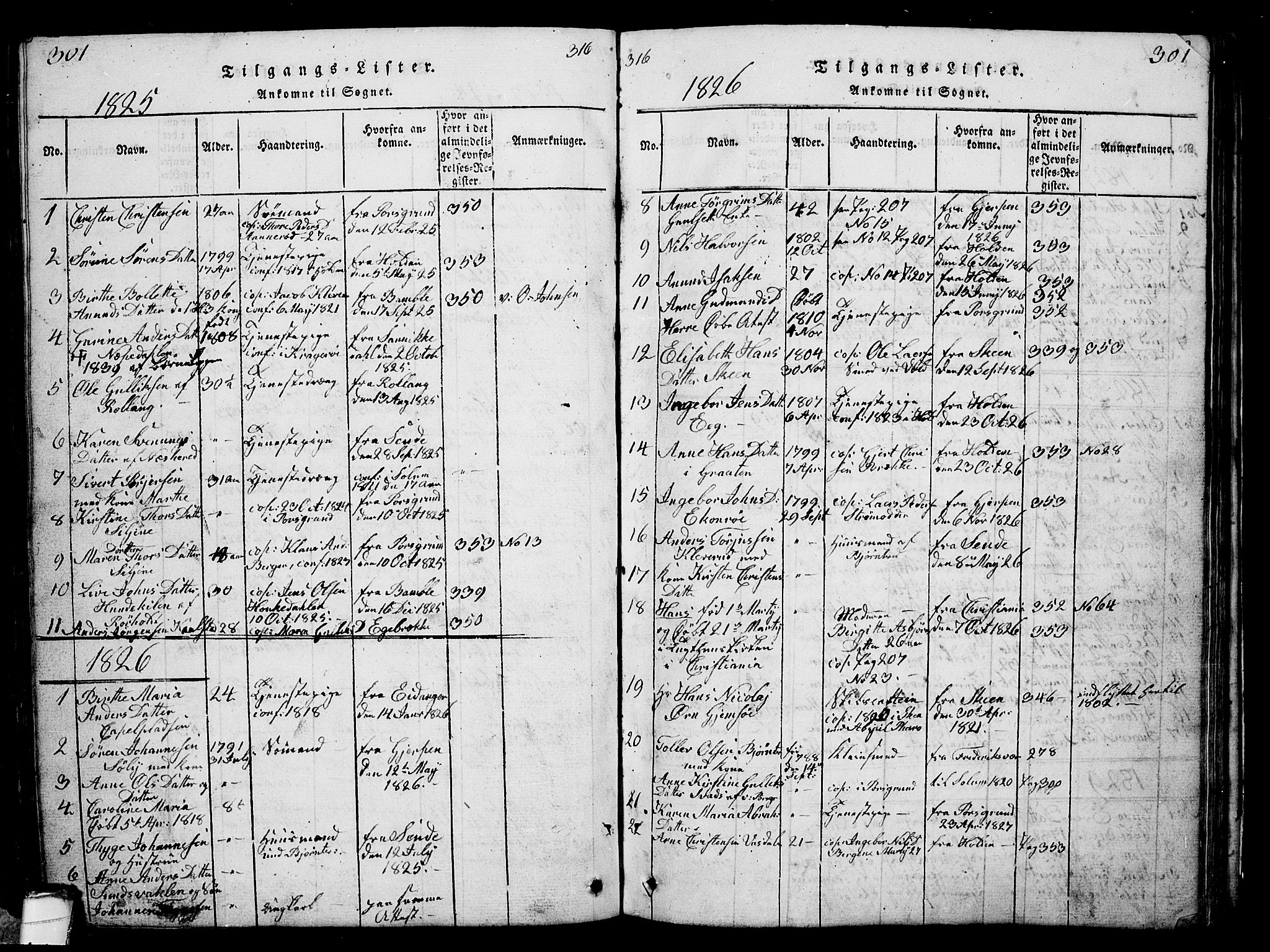 Solum kirkebøker, SAKO/A-306/G/Ga/L0001: Parish register (copy) no. I 1, 1814-1833, p. 301