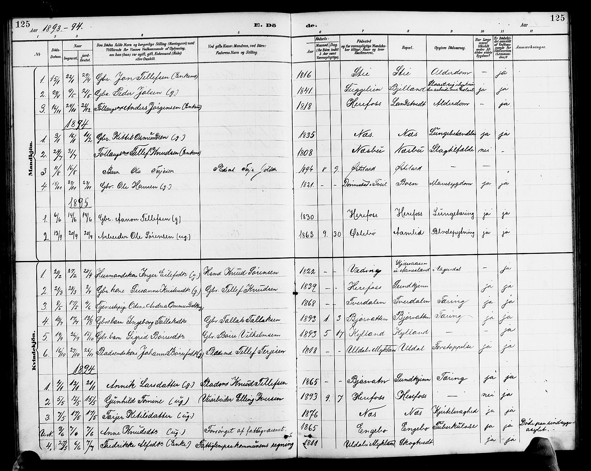Herefoss sokneprestkontor, SAK/1111-0019/F/Fb/Fba/L0003: Parish register (copy) no. B 3, 1887-1925, p. 125