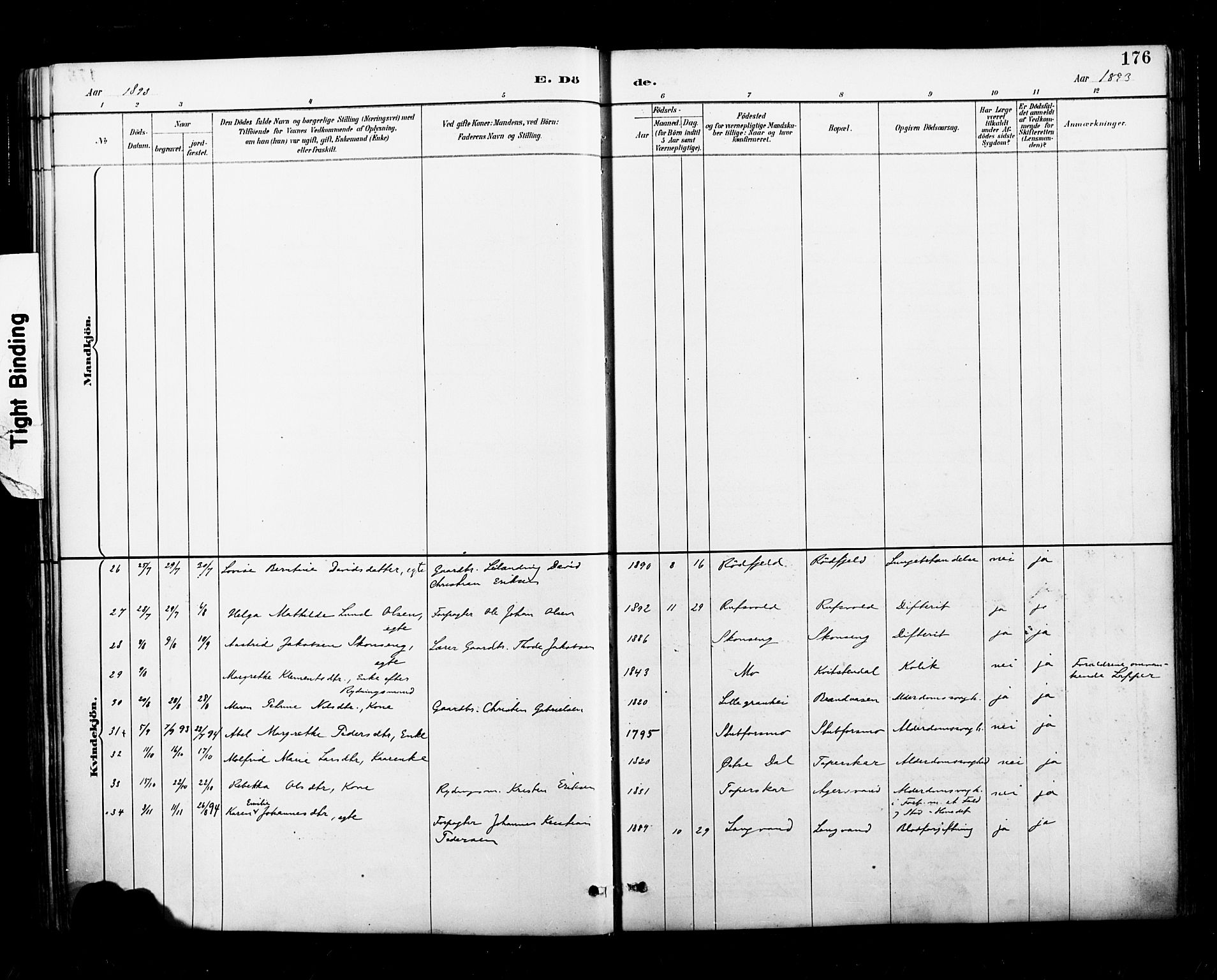 Ministerialprotokoller, klokkerbøker og fødselsregistre - Nordland, AV/SAT-A-1459/827/L0401: Parish register (official) no. 827A13, 1887-1905, p. 176