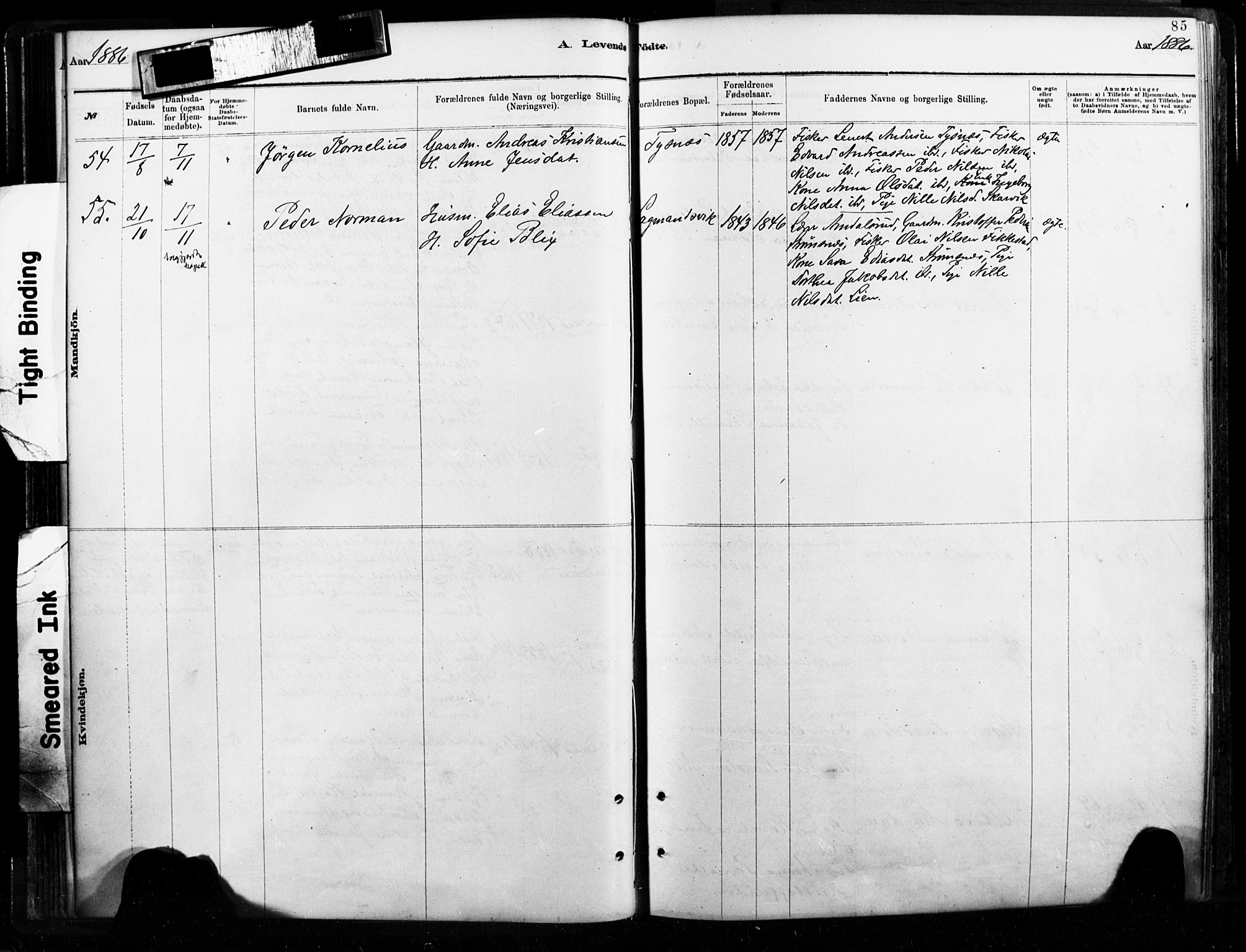 Ministerialprotokoller, klokkerbøker og fødselsregistre - Nordland, AV/SAT-A-1459/859/L0846: Parish register (official) no. 859A06, 1878-1889, p. 85