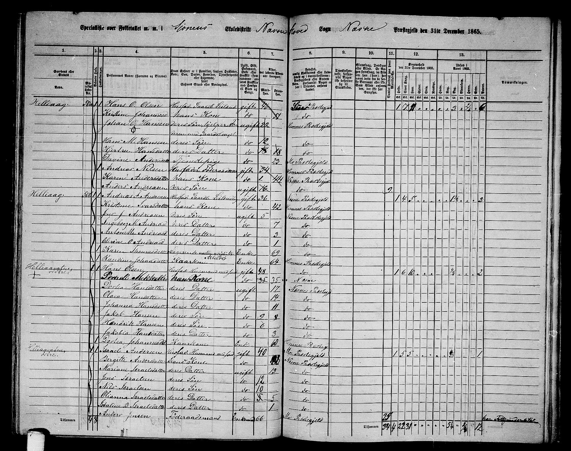 RA, 1865 census for Nesna, 1865, p. 105