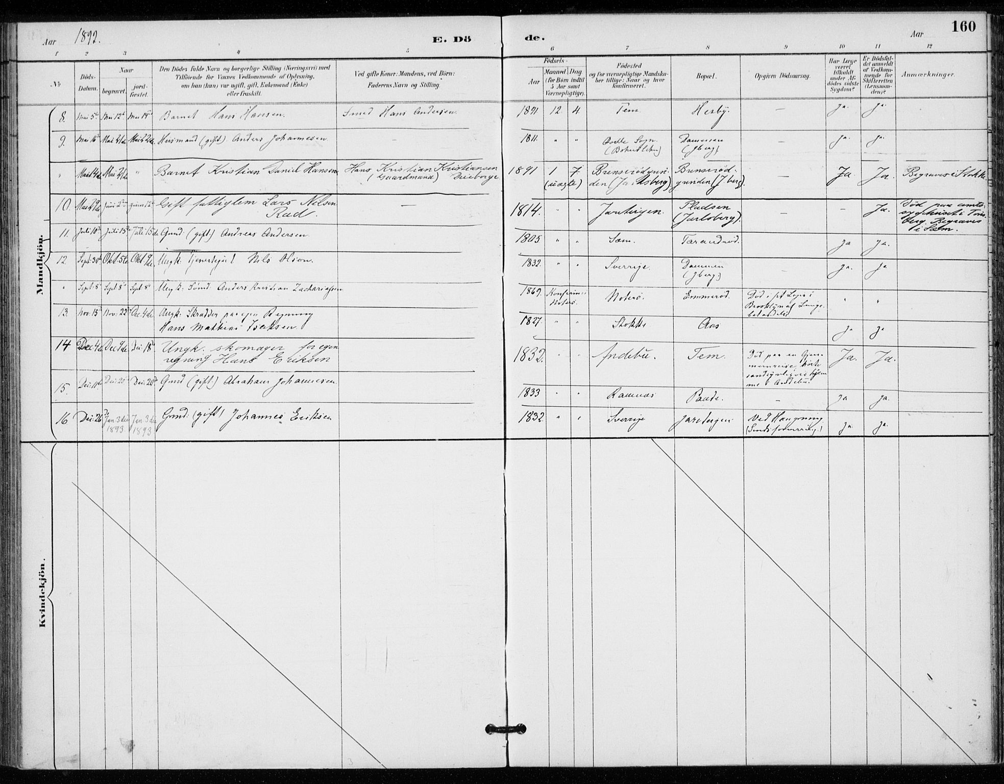 Sem kirkebøker, AV/SAKO-A-5/F/Fa/L0011: Parish register (official) no. I 11, 1888-1904, p. 160