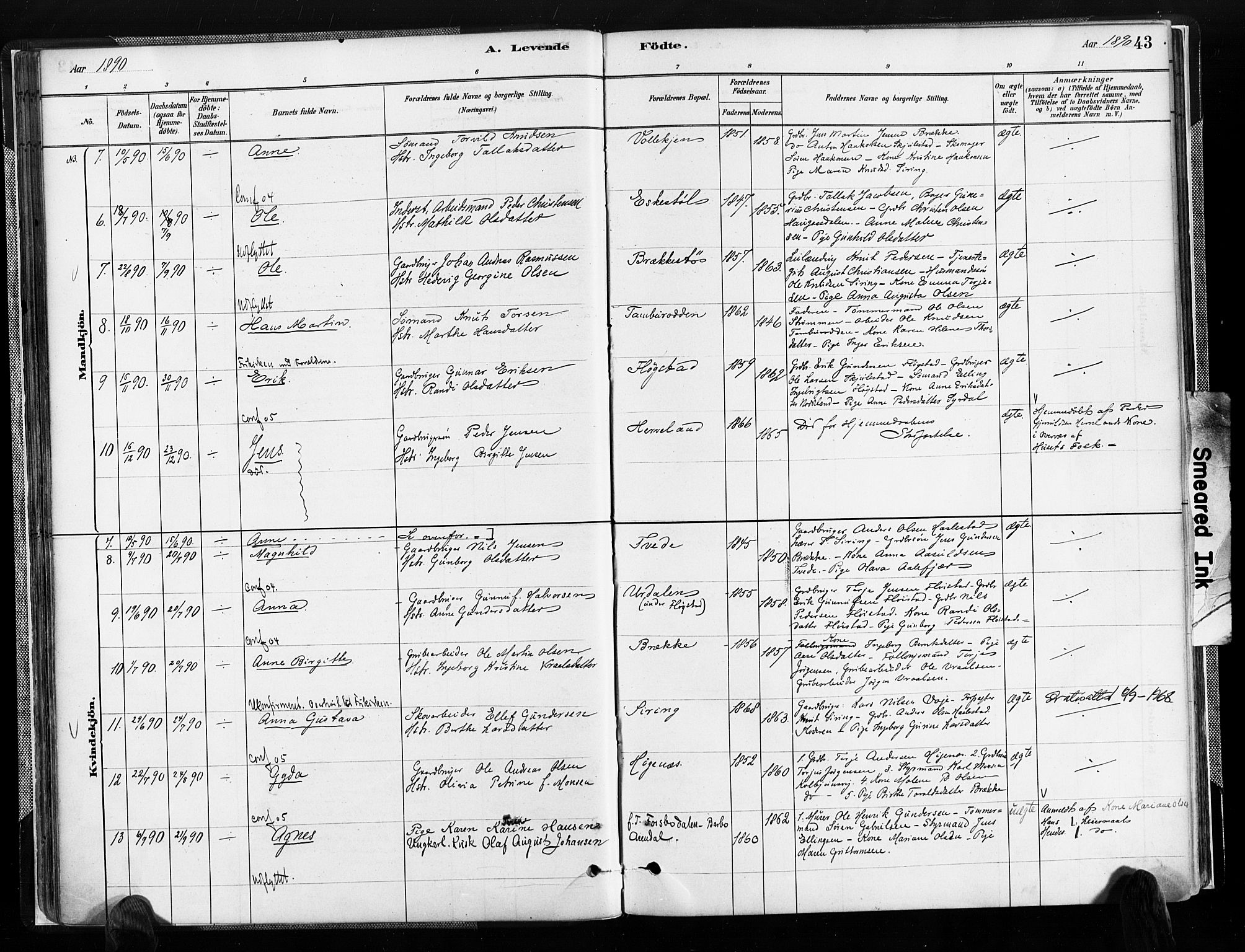 Austre Moland sokneprestkontor, SAK/1111-0001/F/Fa/Faa/L0010: Parish register (official) no. A 10, 1880-1904, p. 43