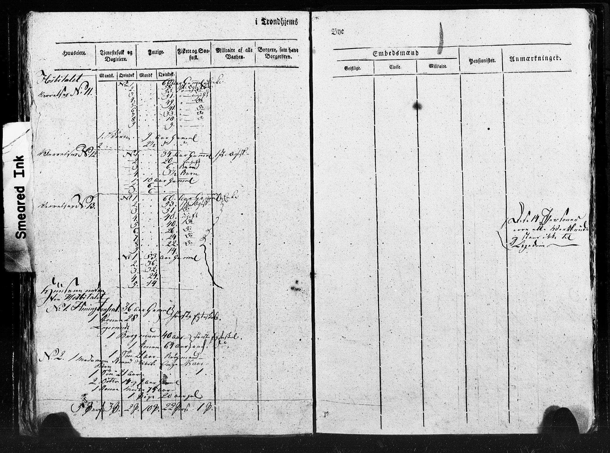 SAT, Census 1815 for Trondheim (transcript), 1815, p. 101