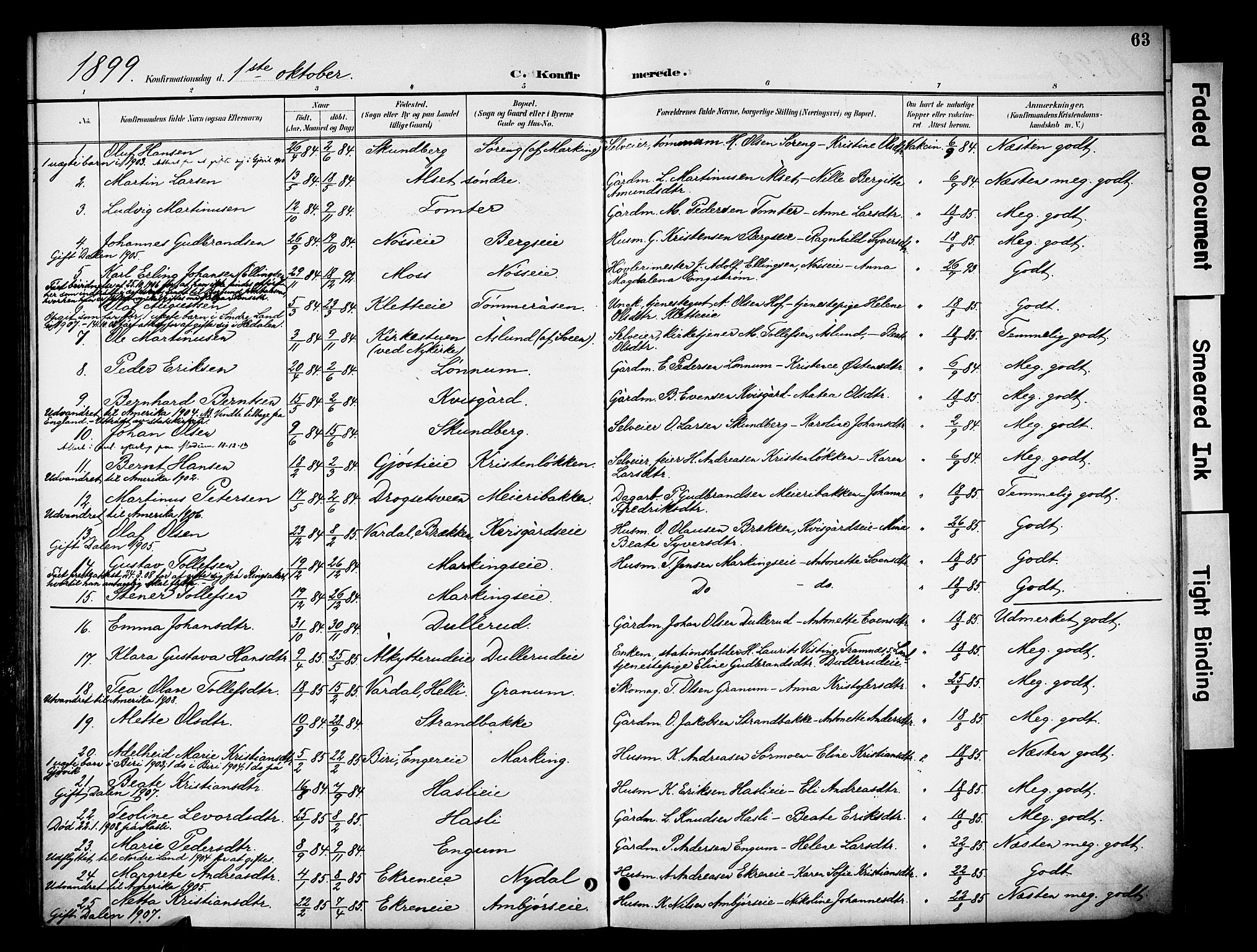 Biri prestekontor, SAH/PREST-096/H/Ha/Haa/L0008: Parish register (official) no. 8, 1894-1901, p. 63