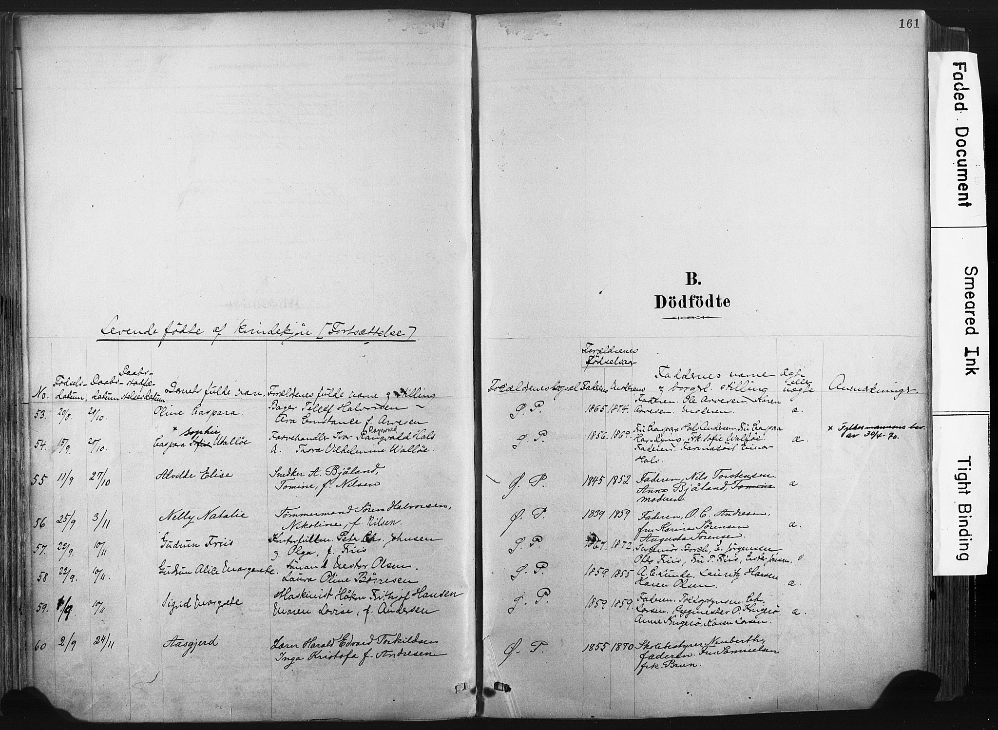 Porsgrunn kirkebøker , SAKO/A-104/F/Fa/L0008: Parish register (official) no. 8, 1878-1895, p. 161