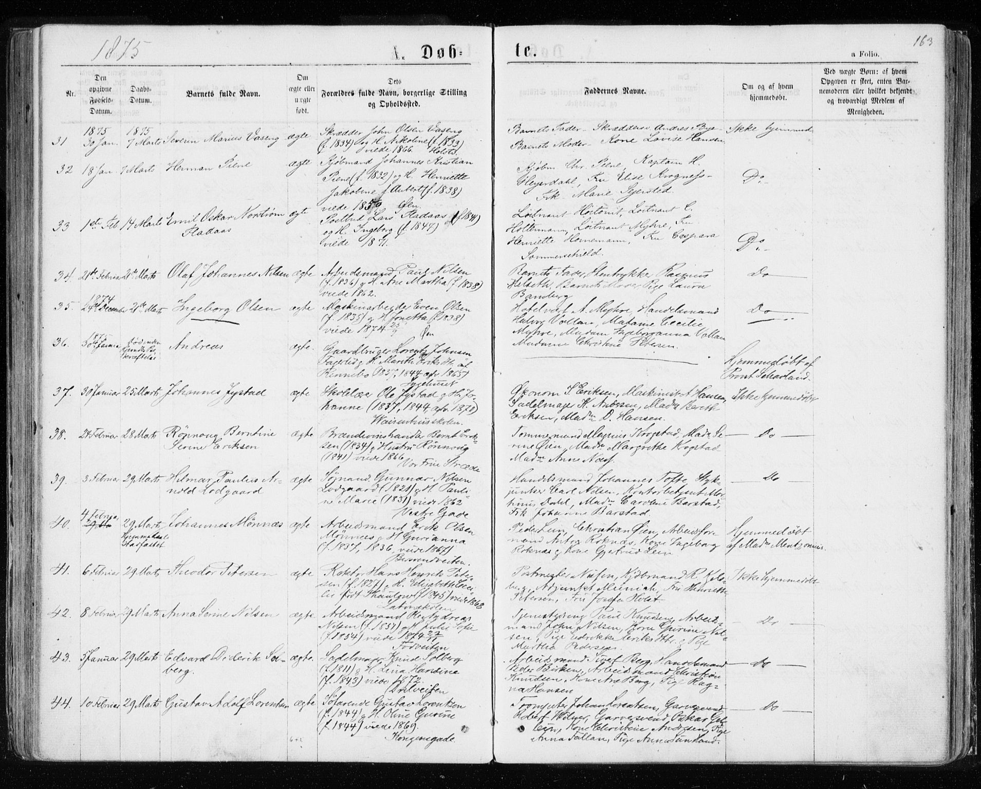 Ministerialprotokoller, klokkerbøker og fødselsregistre - Sør-Trøndelag, SAT/A-1456/601/L0054: Parish register (official) no. 601A22, 1866-1877, p. 163