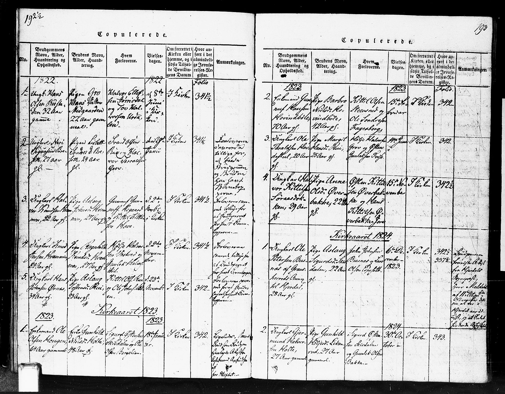 Gransherad kirkebøker, SAKO/A-267/F/Fb/L0002: Parish register (official) no. II 2, 1815-1843, p. 193