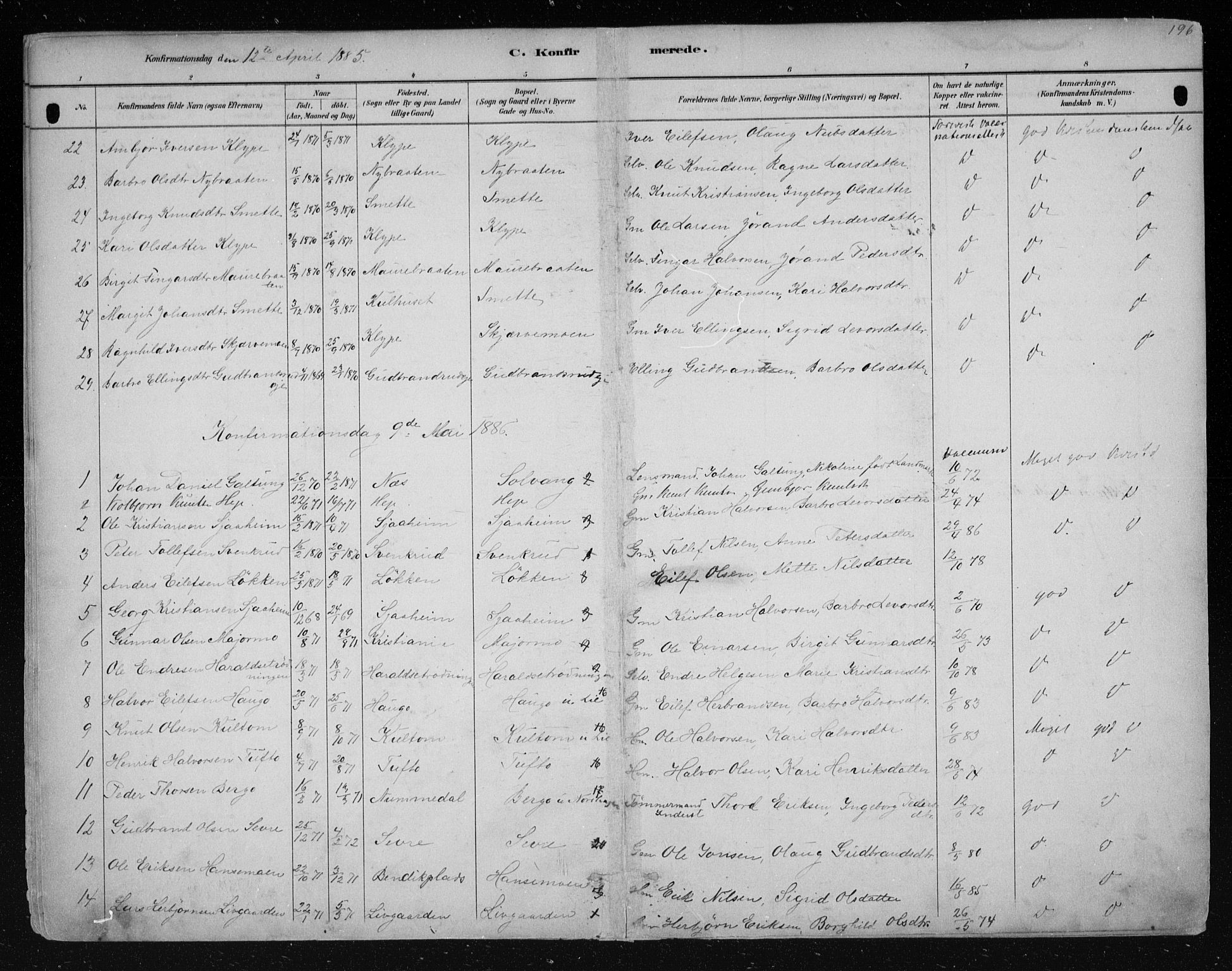 Nes kirkebøker, SAKO/A-236/F/Fa/L0011: Parish register (official) no. 11, 1881-1912, p. 196