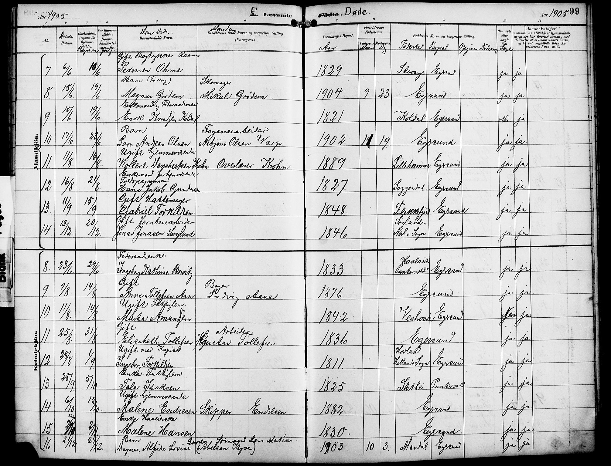 Eigersund sokneprestkontor, SAST/A-101807/S09/L0010: Parish register (copy) no. B 10, 1893-1907, p. 99