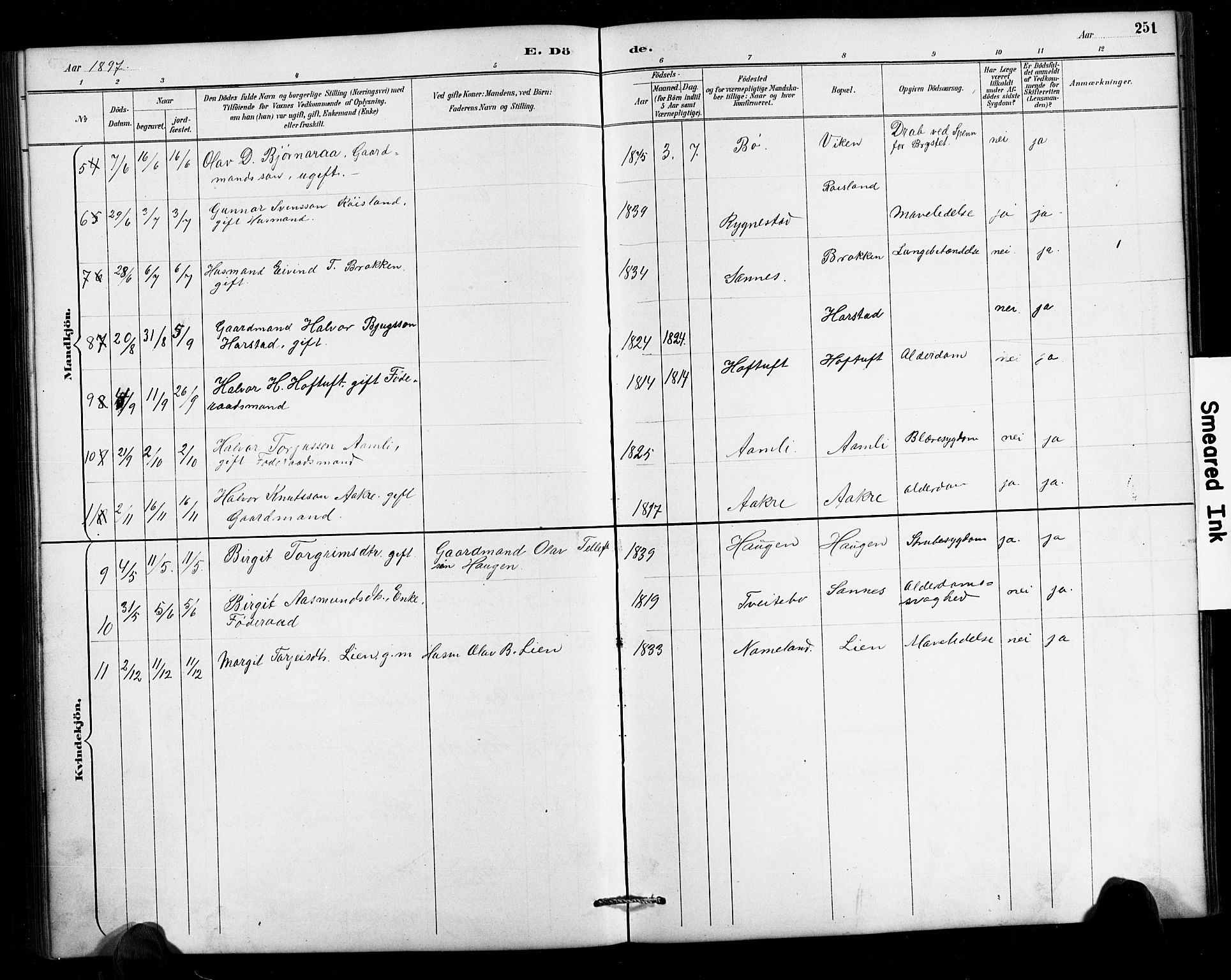 Valle sokneprestkontor, SAK/1111-0044/F/Fb/Fbc/L0004: Parish register (copy) no. B 4, 1890-1928, p. 251