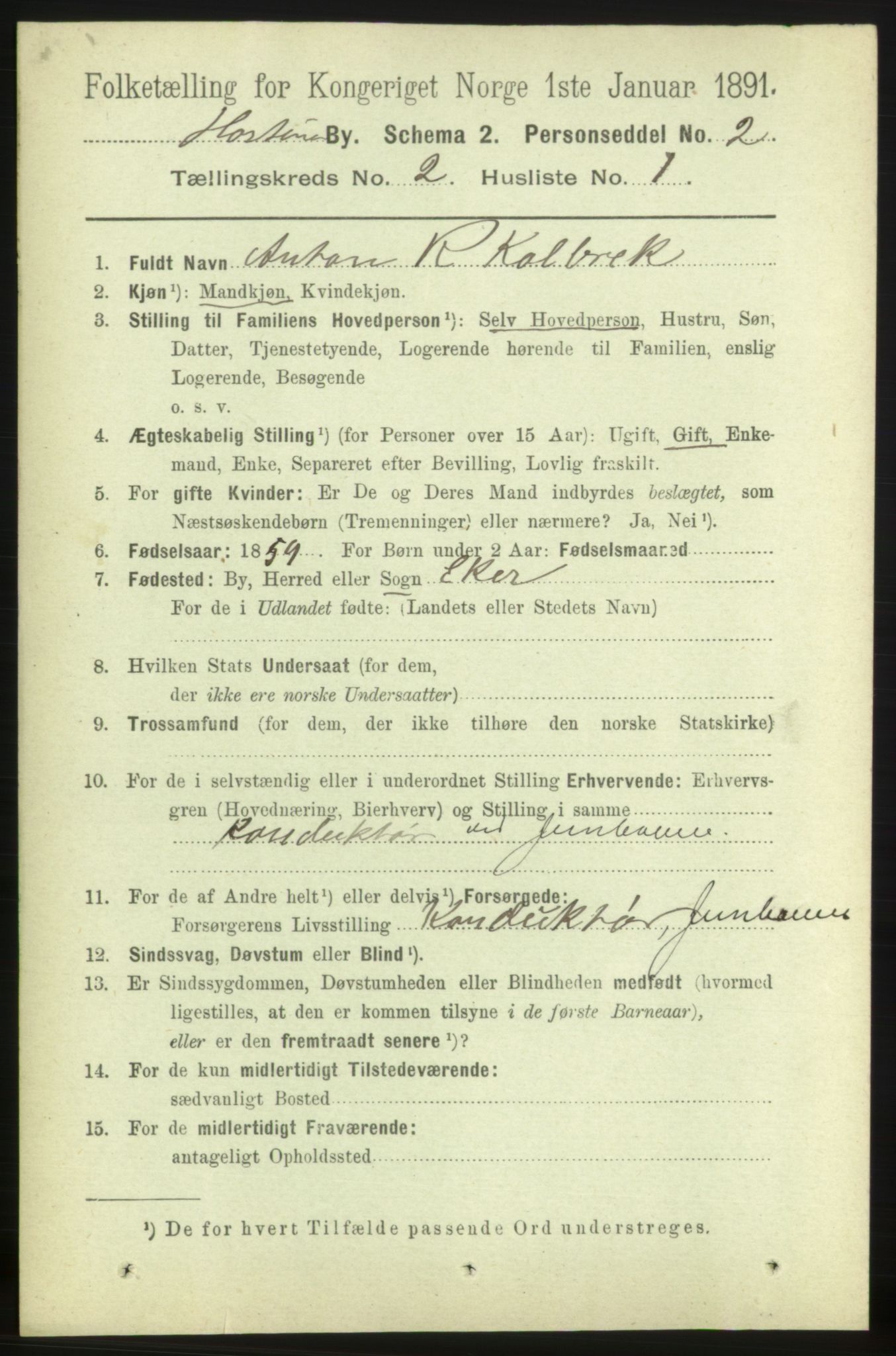 RA, 1891 census for 0703 Horten, 1891, p. 2069