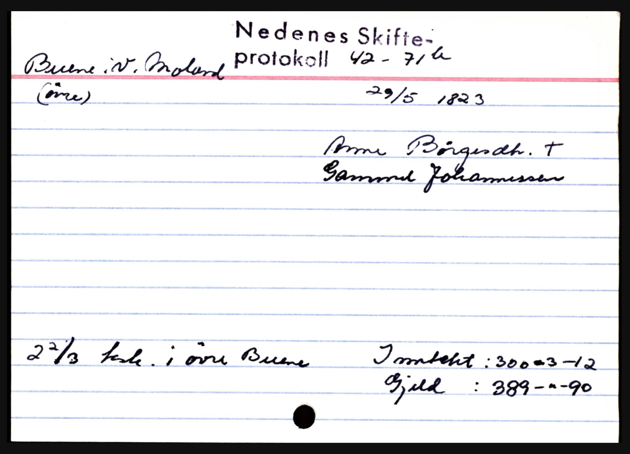 Nedenes sorenskriveri før 1824, AV/SAK-1221-0007/H, p. 4573