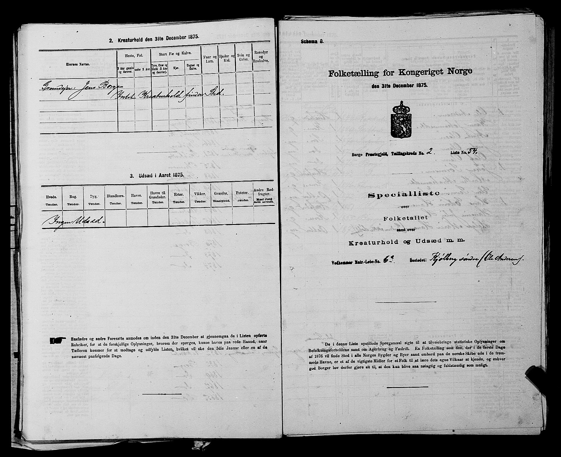 RA, 1875 census for 0113P Borge, 1875, p. 228