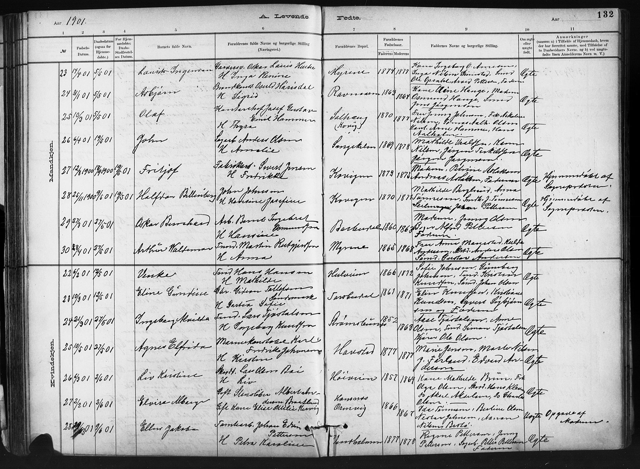 Barbu sokneprestkontor, AV/SAK-1111-0003/F/Fb/L0002: Parish register (copy) no. B 2, 1890-1922, p. 132
