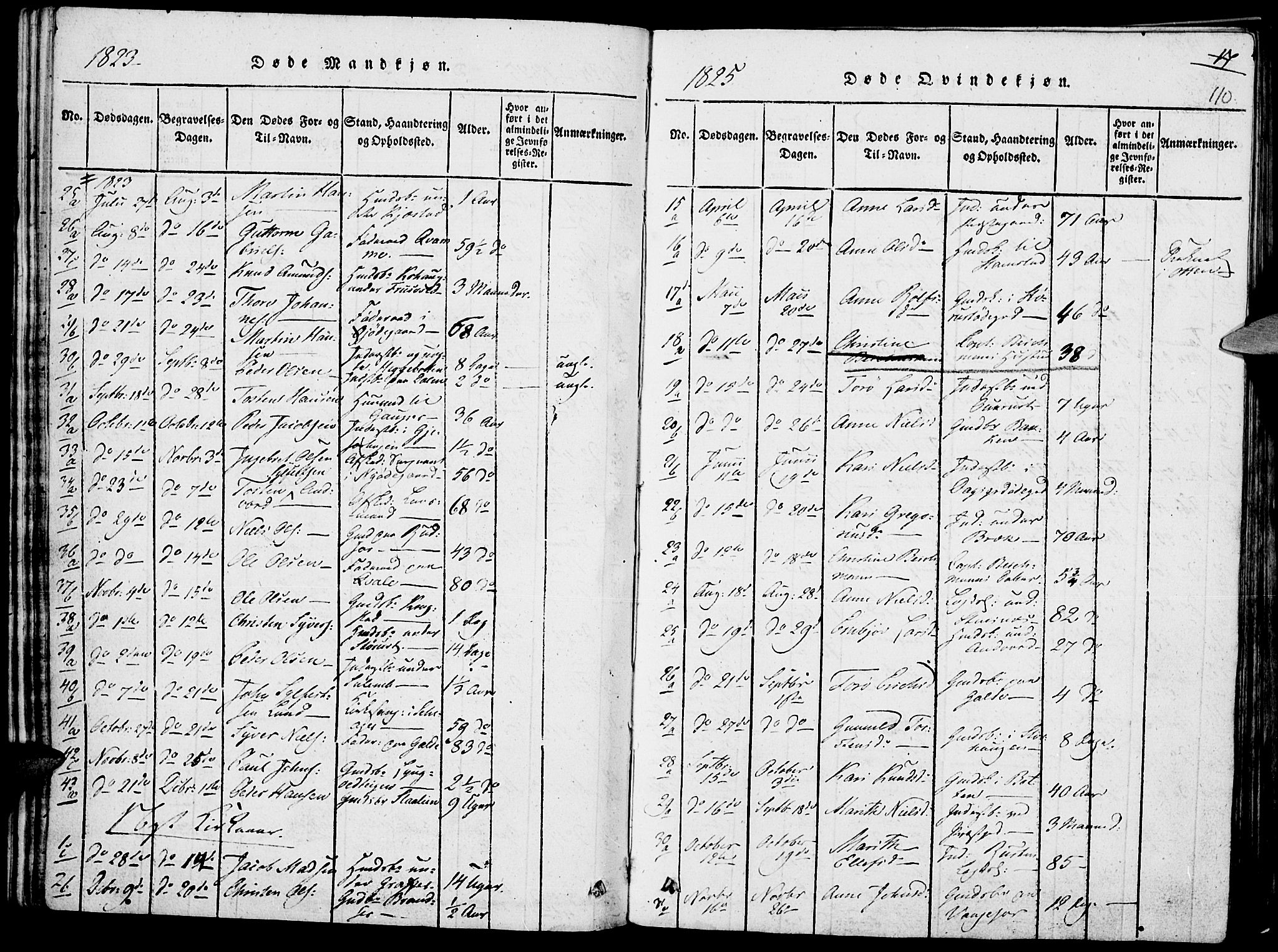 Lom prestekontor, SAH/PREST-070/K/L0004: Parish register (official) no. 4, 1815-1825, p. 110