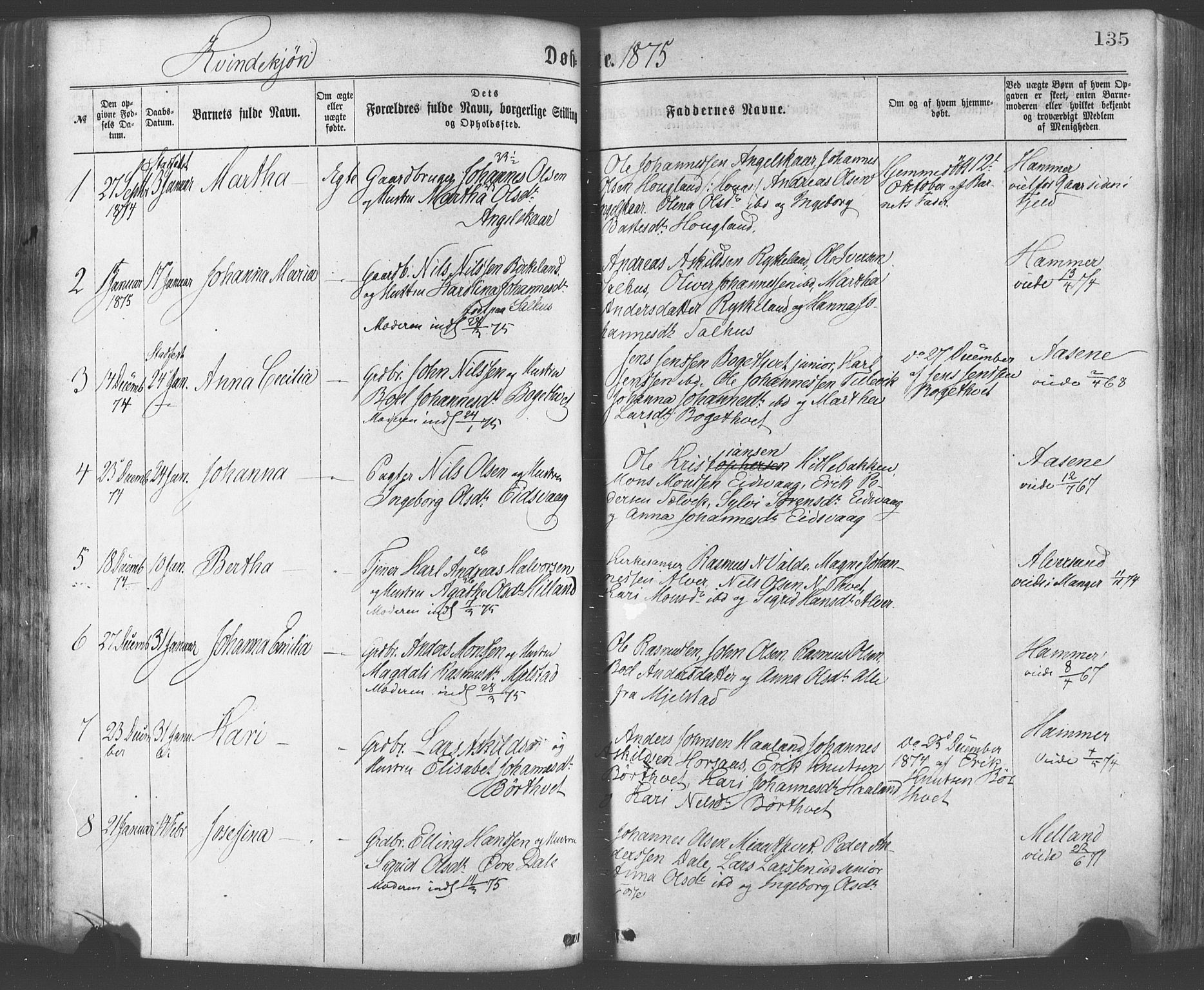 Hamre sokneprestembete, AV/SAB-A-75501/H/Ha/Haa/Haaa/L0015: Parish register (official) no. A 15, 1870-1881, p. 135