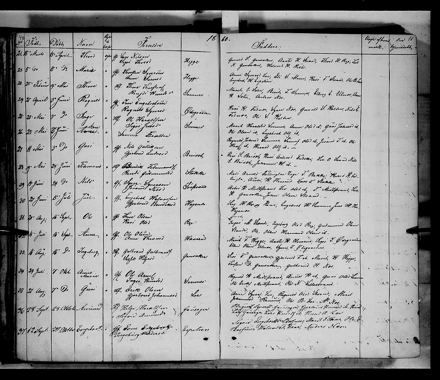 Nord-Aurdal prestekontor, SAH/PREST-132/H/Ha/Haa/L0005: Parish register (official) no. 5, 1842-1863, p. 40