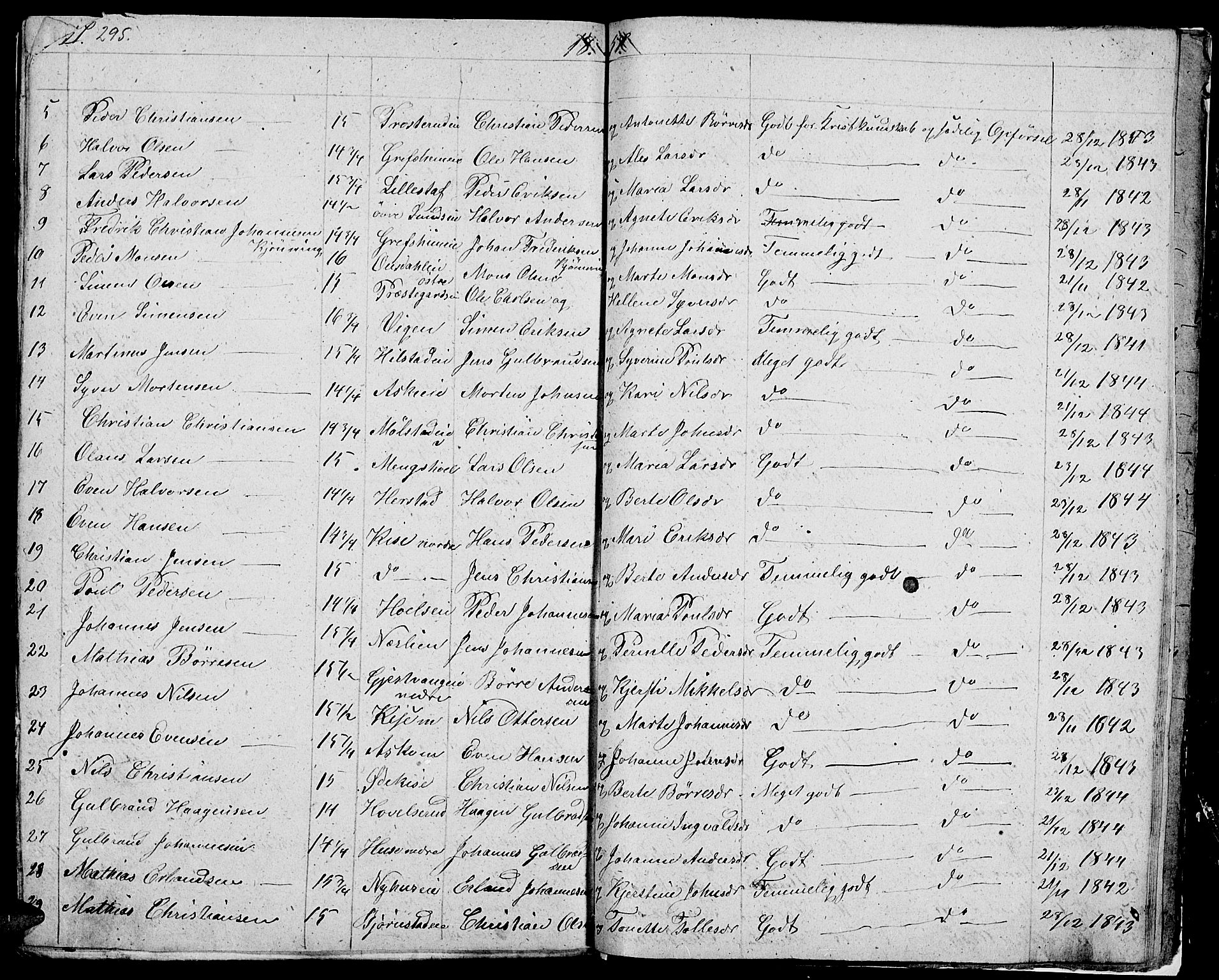 Nes prestekontor, Hedmark, AV/SAH-PREST-020/L/La/L0004: Parish register (copy) no. 4, 1832-1861, p. 295