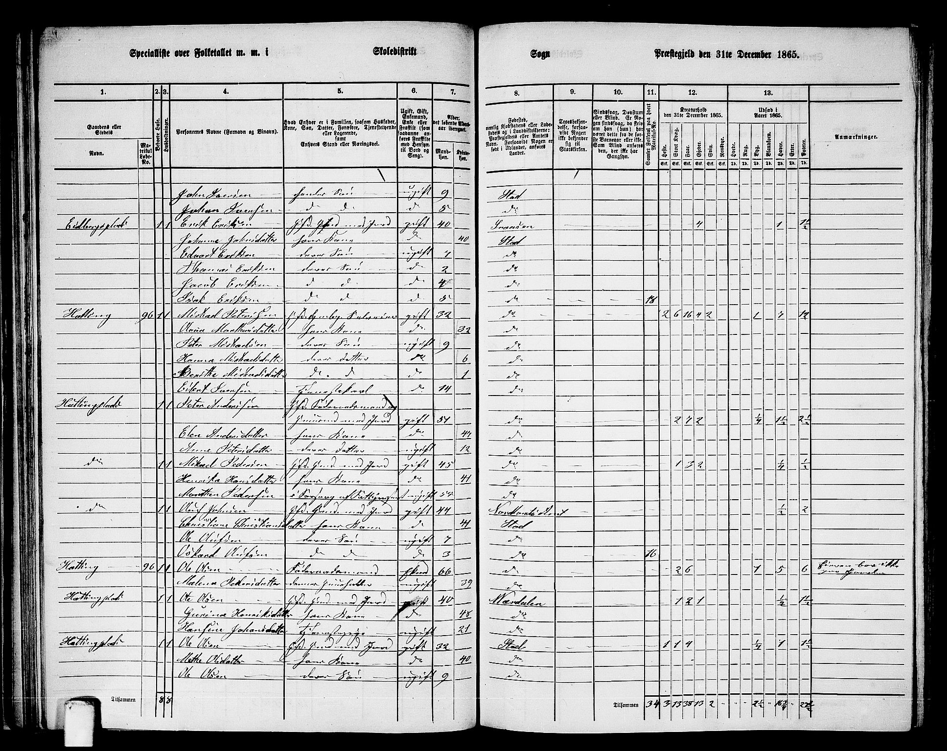 RA, 1865 census for Stod, 1865, p. 65