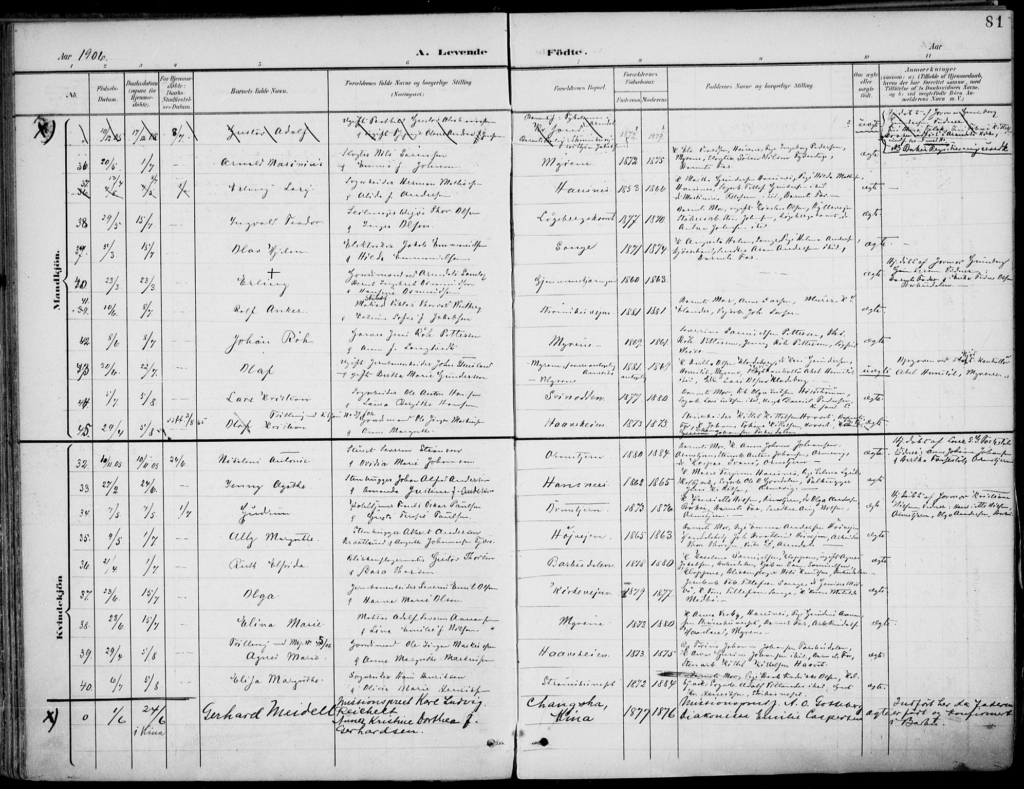 Barbu sokneprestkontor, AV/SAK-1111-0003/F/Fa/L0005: Parish register (official) no. A 5, 1899-1909, p. 81