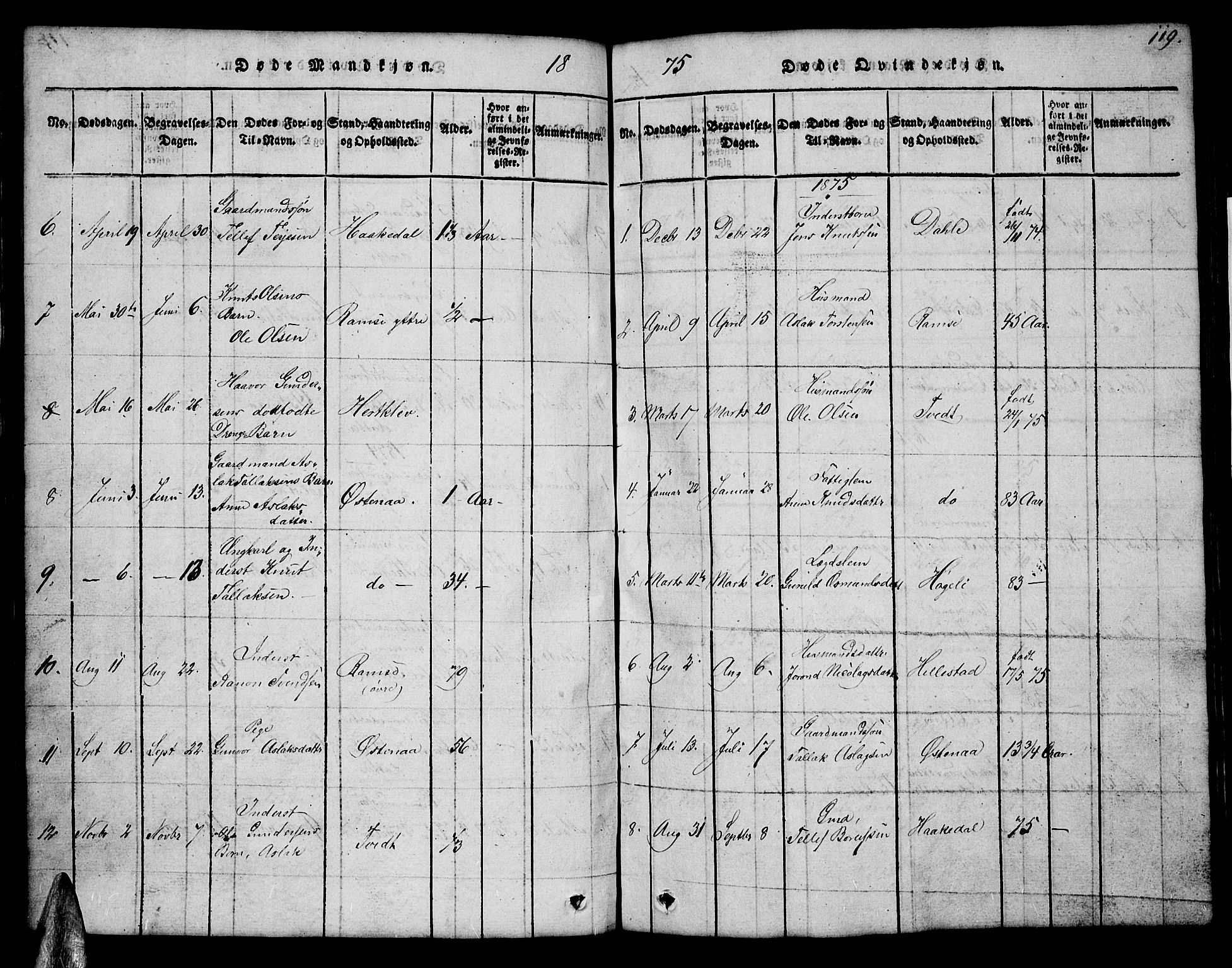 Åmli sokneprestkontor, SAK/1111-0050/F/Fb/Fbb/L0001: Parish register (copy) no. B 1, 1816-1889, p. 119