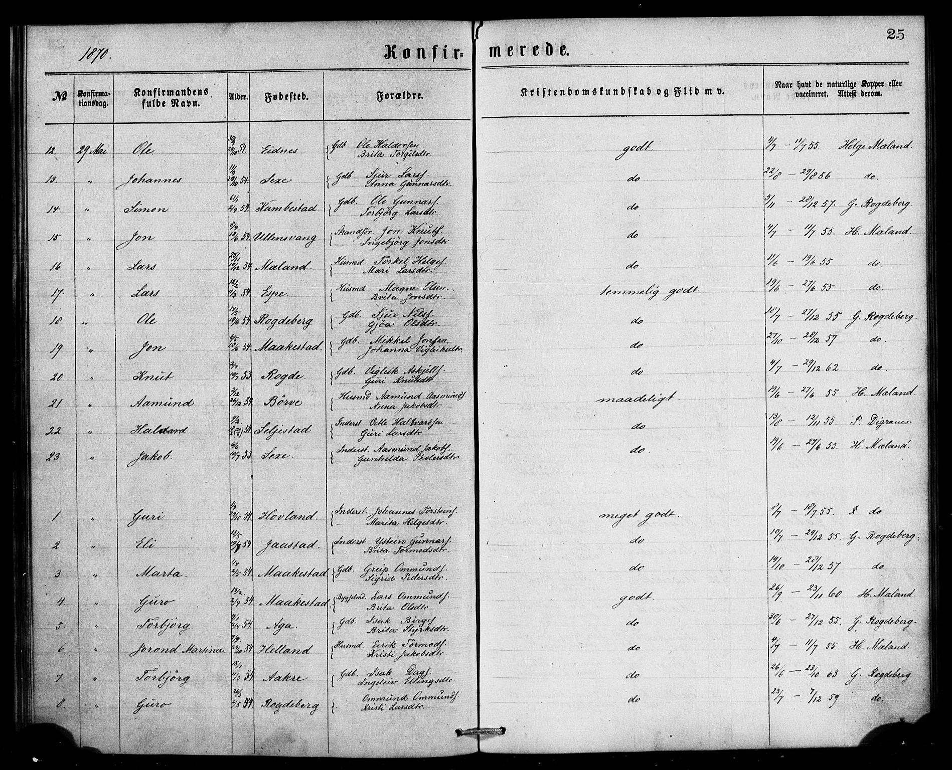 Ullensvang sokneprestembete, AV/SAB-A-78701/H/Haa: Parish register (official) no. A 13, 1867-1879, p. 25