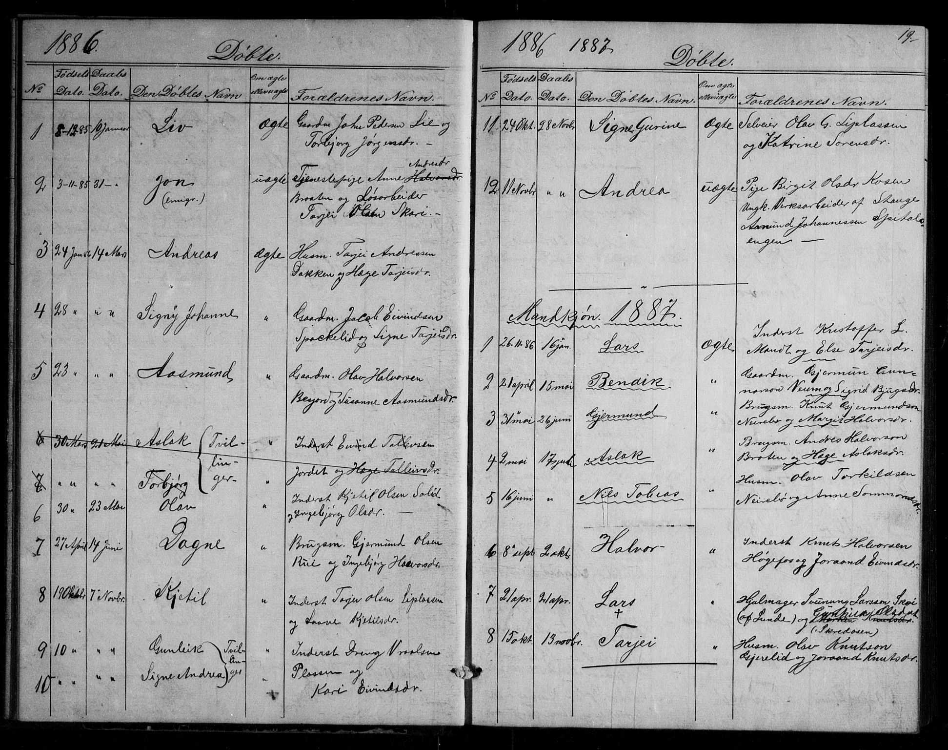 Fyresdal kirkebøker, SAKO/A-263/G/Gb/L0001: Parish register (copy) no. II 1, 1864-1890, p. 19