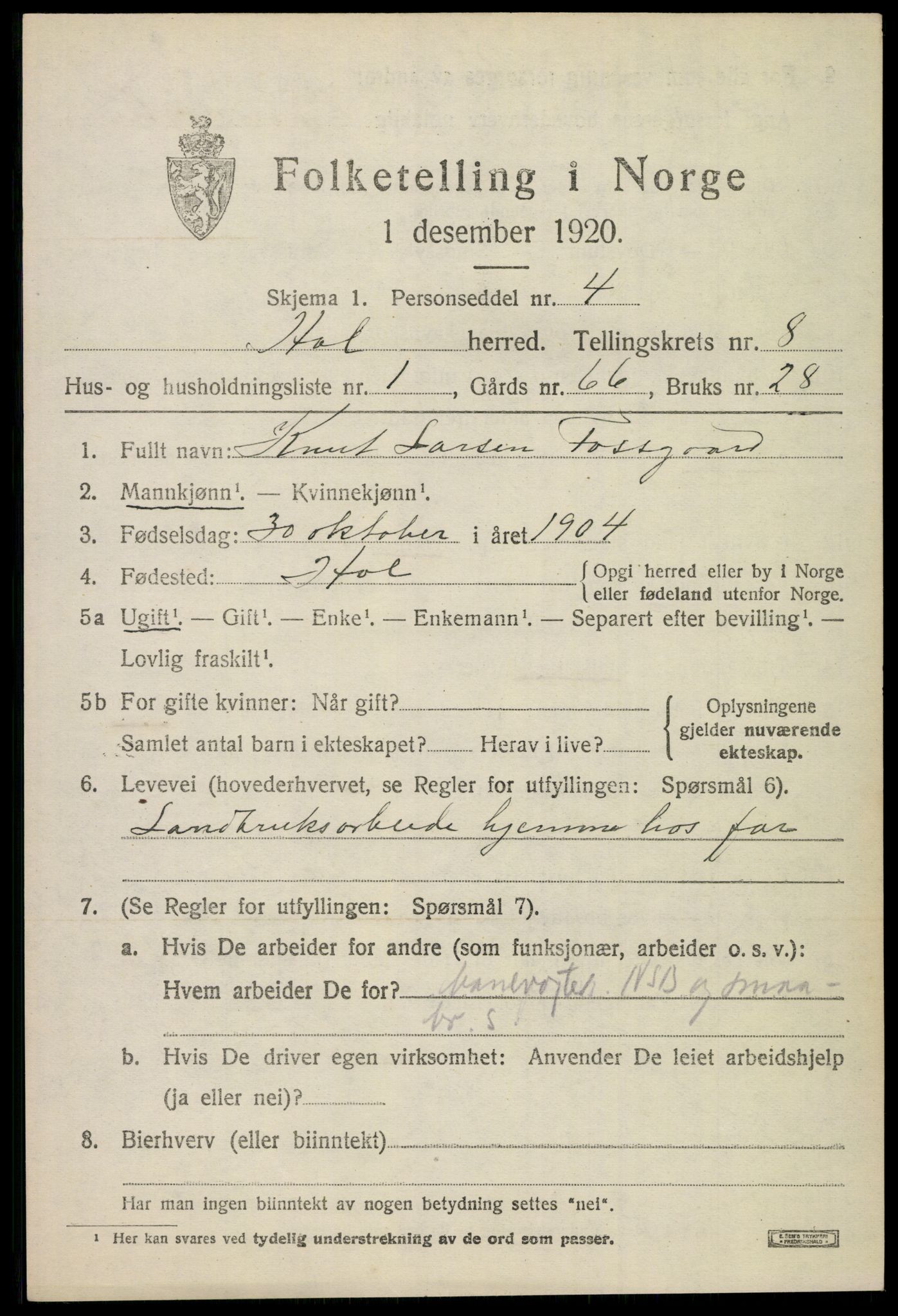 SAKO, 1920 census for Hol (Buskerud), 1920, p. 4089