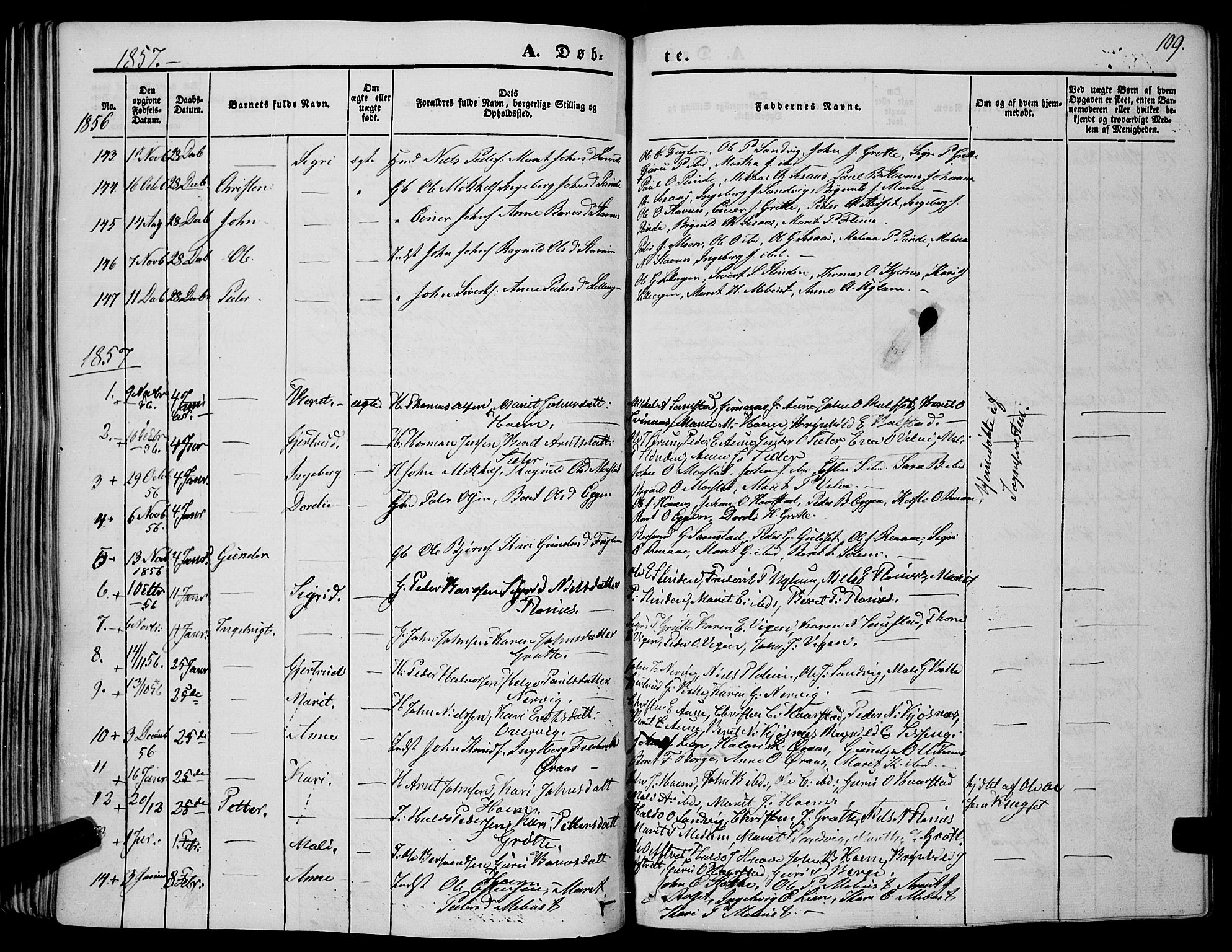 Ministerialprotokoller, klokkerbøker og fødselsregistre - Sør-Trøndelag, SAT/A-1456/695/L1145: Parish register (official) no. 695A06 /1, 1843-1859, p. 109