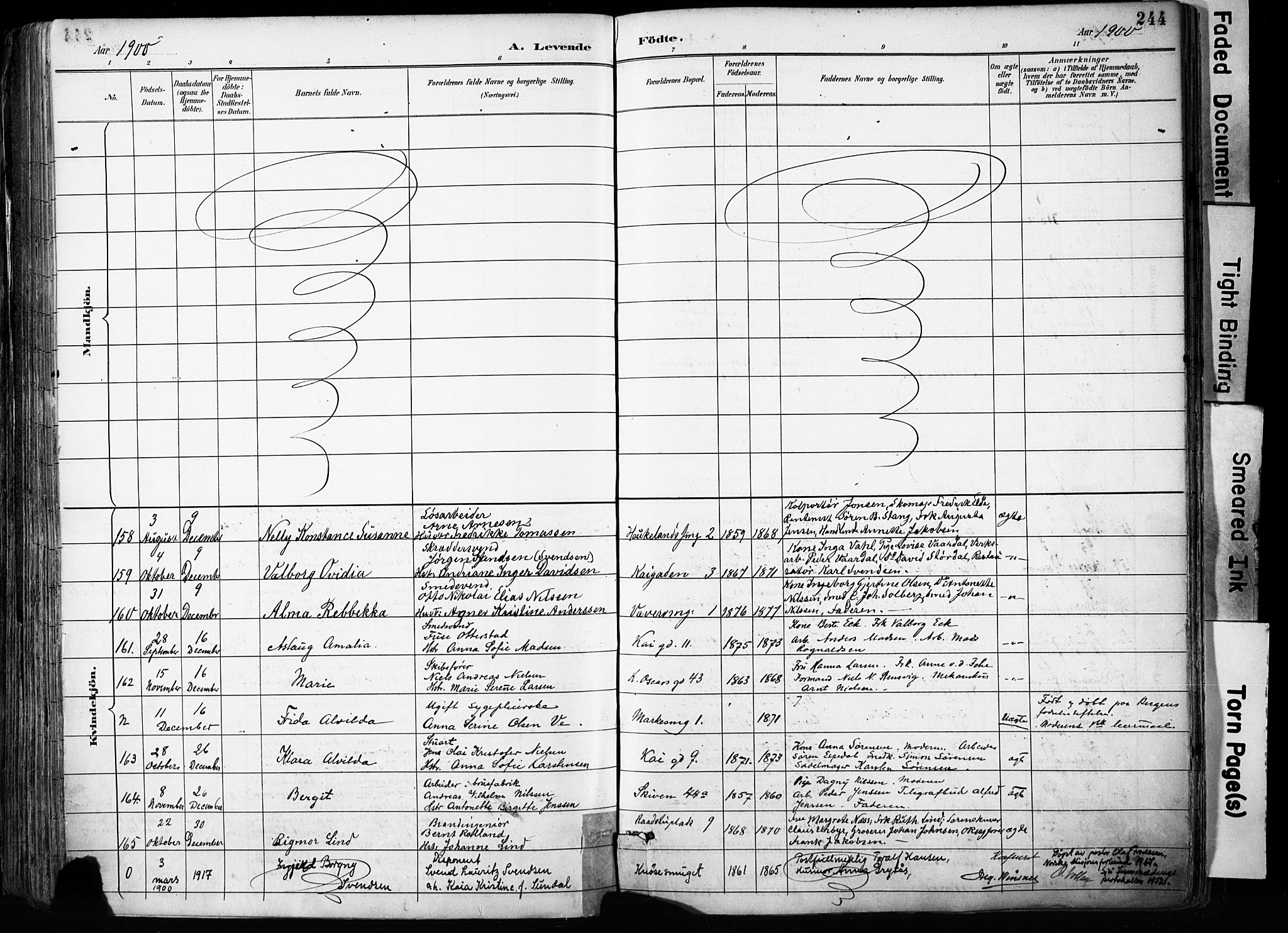 Domkirken sokneprestembete, AV/SAB-A-74801/H/Haa/L0024: Parish register (official) no. B 7, 1888-1903, p. 244