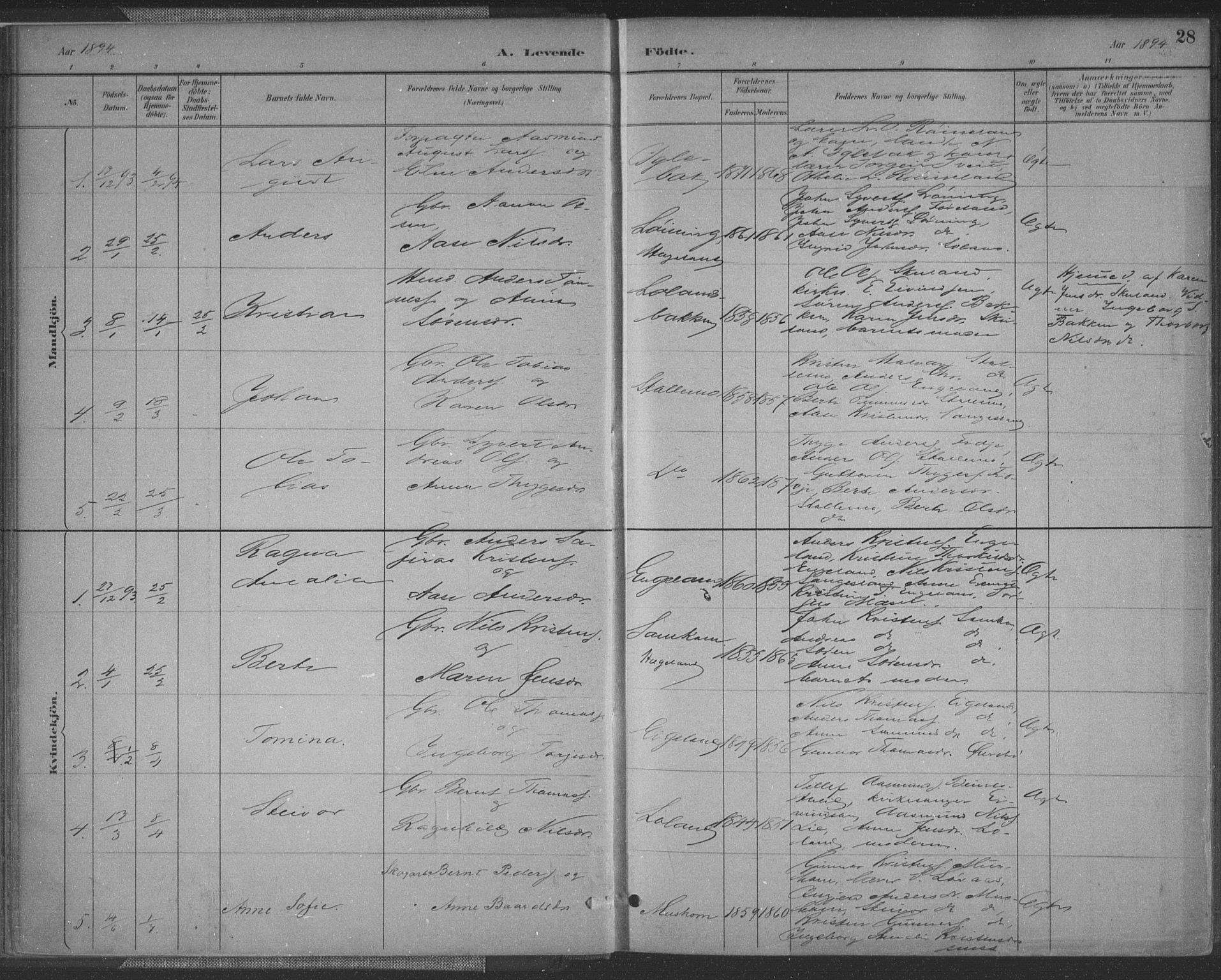 Vennesla sokneprestkontor, AV/SAK-1111-0045/Fa/Fac/L0009: Parish register (official) no. A 9, 1884-1901, p. 28