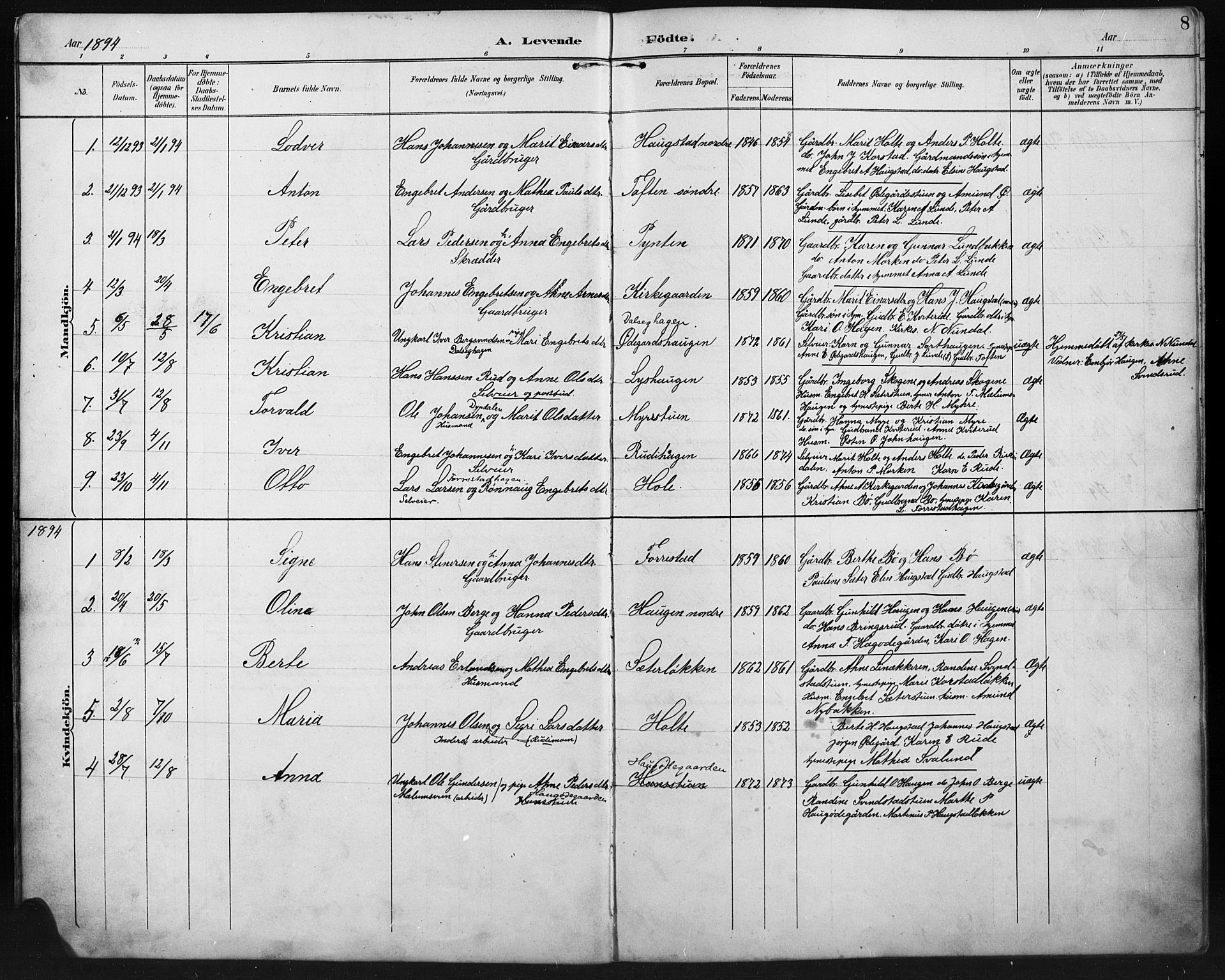 Ringebu prestekontor, SAH/PREST-082/H/Ha/Hab/L0008: Parish register (copy) no. 8, 1890-1922, p. 8