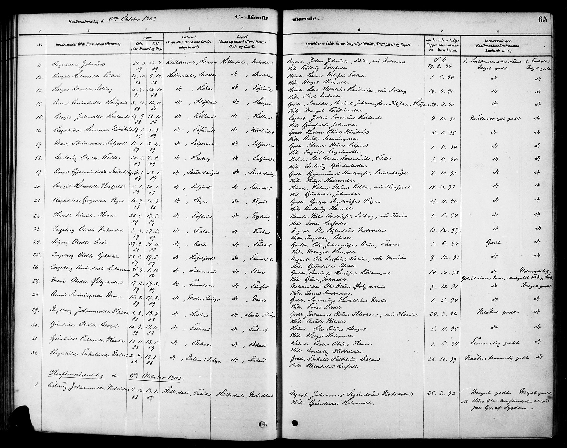 Heddal kirkebøker, SAKO/A-268/F/Fa/L0009: Parish register (official) no. I 9, 1878-1903, p. 65