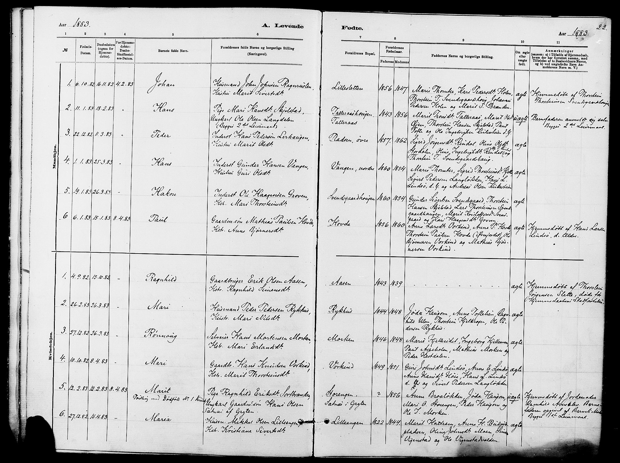 Dovre prestekontor, SAH/PREST-066/H/Ha/Haa/L0002: Parish register (official) no. 2, 1879-1890, p. 22