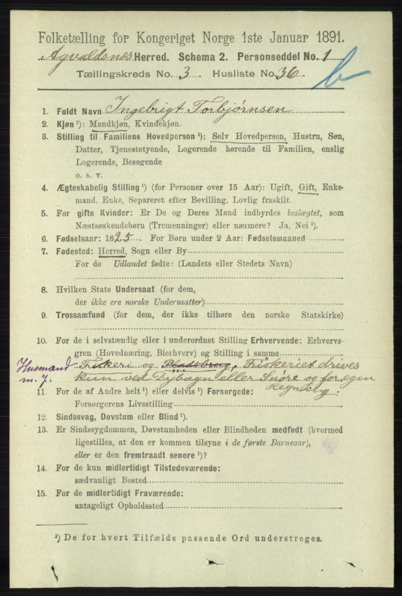 RA, 1891 census for 1147 Avaldsnes, 1891, p. 2745