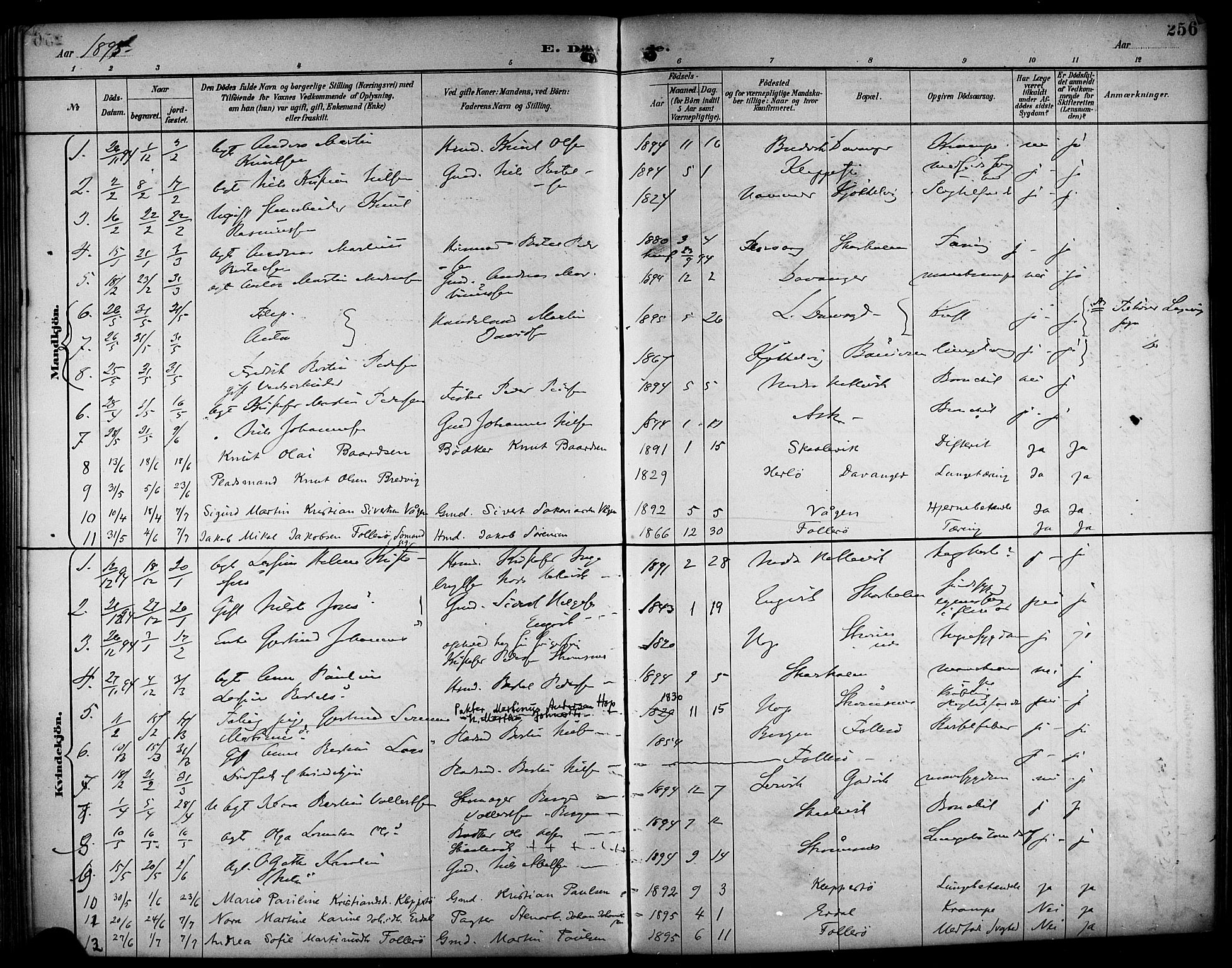Askøy Sokneprestembete, SAB/A-74101/H/Ha/Haa/Haab/L0002: Parish register (official) no. B 2, 1889-1902, p. 256