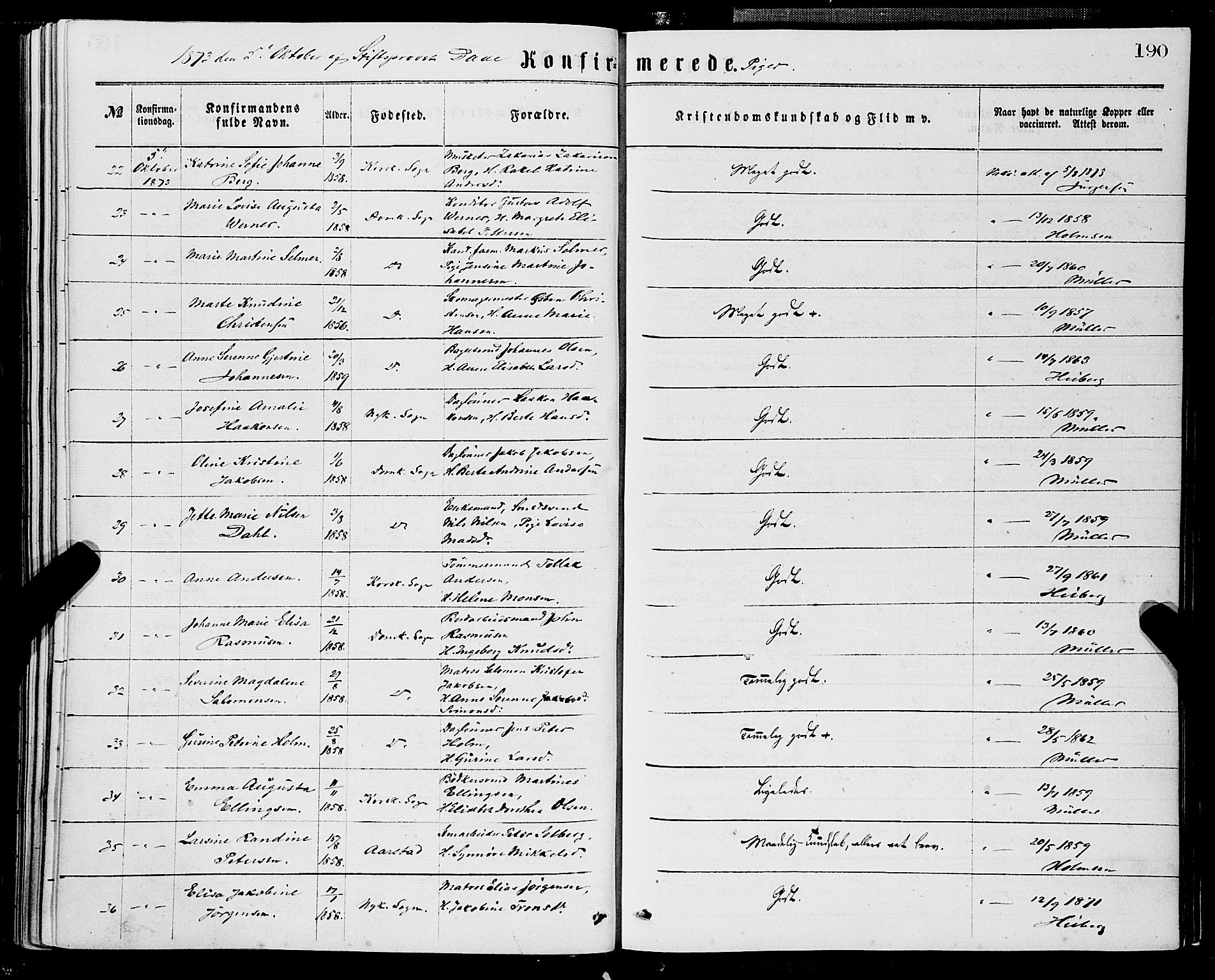 Domkirken sokneprestembete, SAB/A-74801/H/Haa/L0029: Parish register (official) no. C 4, 1864-1879, p. 190