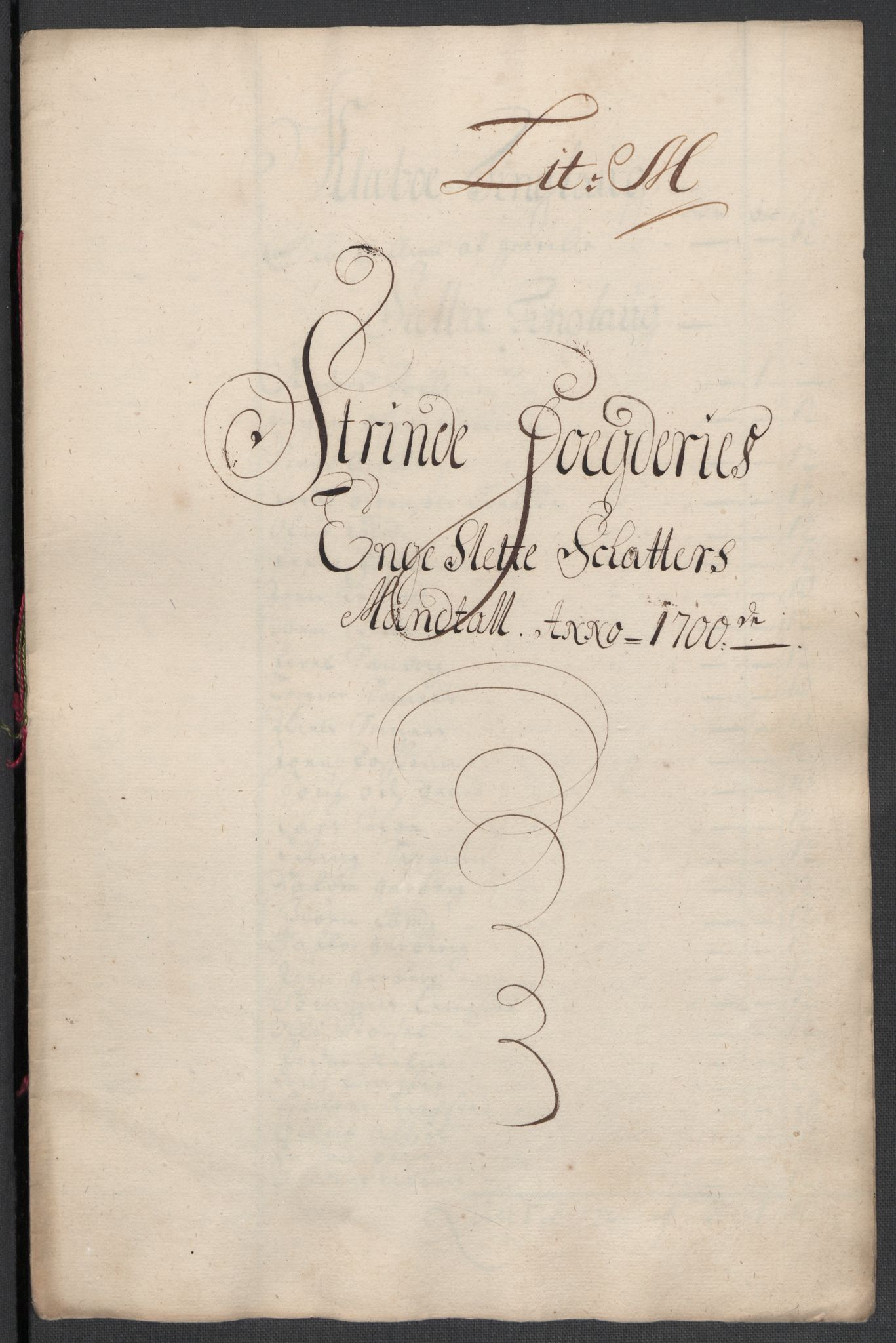 Rentekammeret inntil 1814, Reviderte regnskaper, Fogderegnskap, RA/EA-4092/R61/L4107: Fogderegnskap Strinda og Selbu, 1698-1700, p. 408
