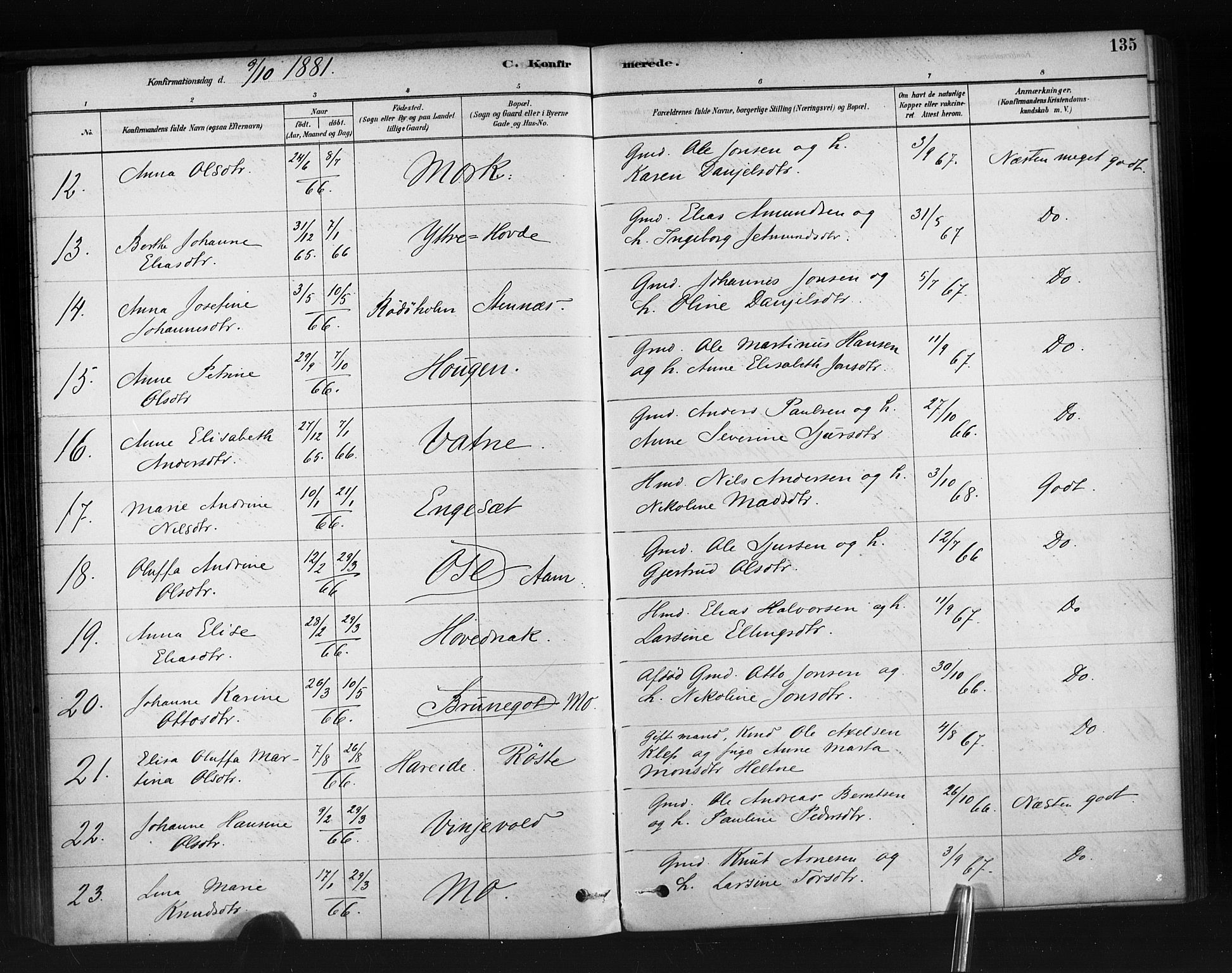 Ministerialprotokoller, klokkerbøker og fødselsregistre - Møre og Romsdal, AV/SAT-A-1454/513/L0176: Parish register (official) no. 513A03, 1877-1889, p. 135