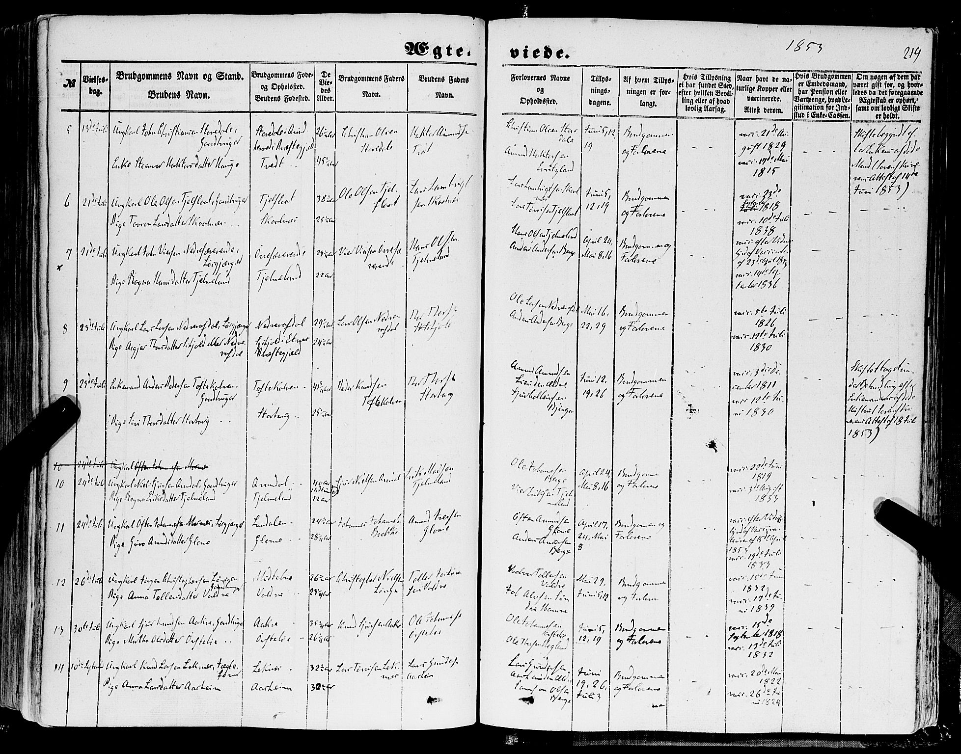 Skånevik sokneprestembete, AV/SAB-A-77801/H/Haa: Parish register (official) no. A 5I, 1848-1869, p. 219