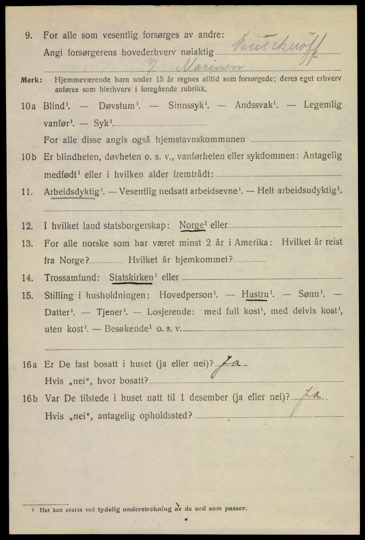 SAKO, 1920 census for Horten, 1920, p. 17520