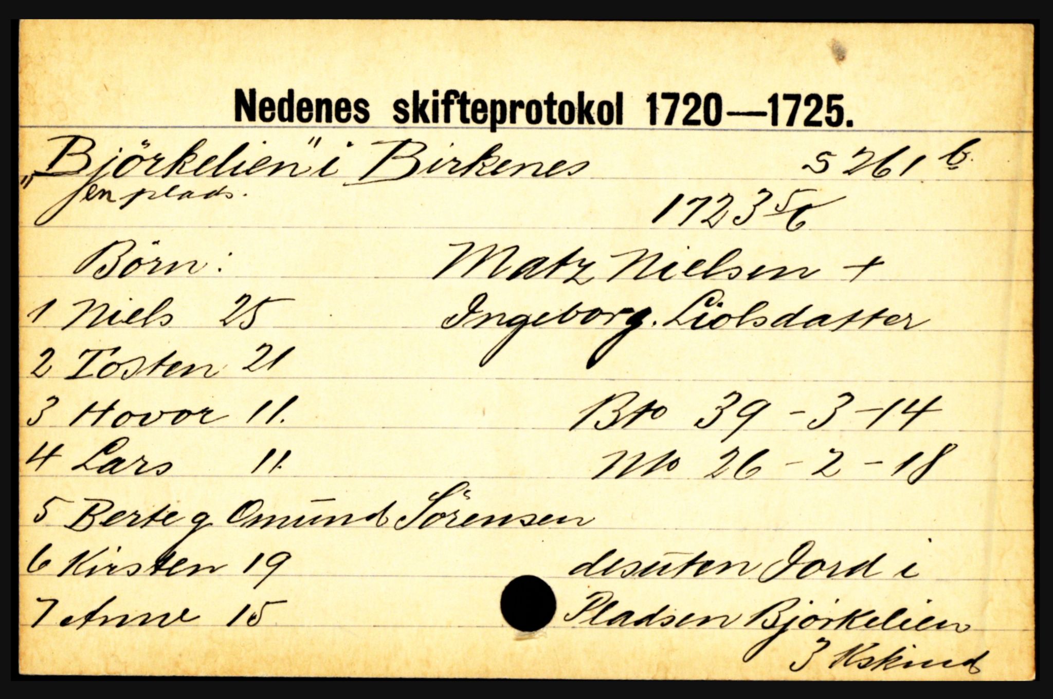 Nedenes sorenskriveri før 1824, AV/SAK-1221-0007/H, p. 2885