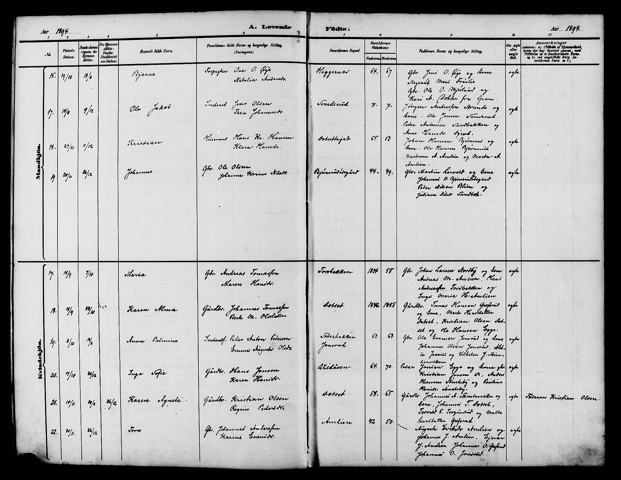 Vestre Toten prestekontor, SAH/PREST-108/H/Ha/Hab/L0015: Parish register (copy) no. 15, 1890-1900